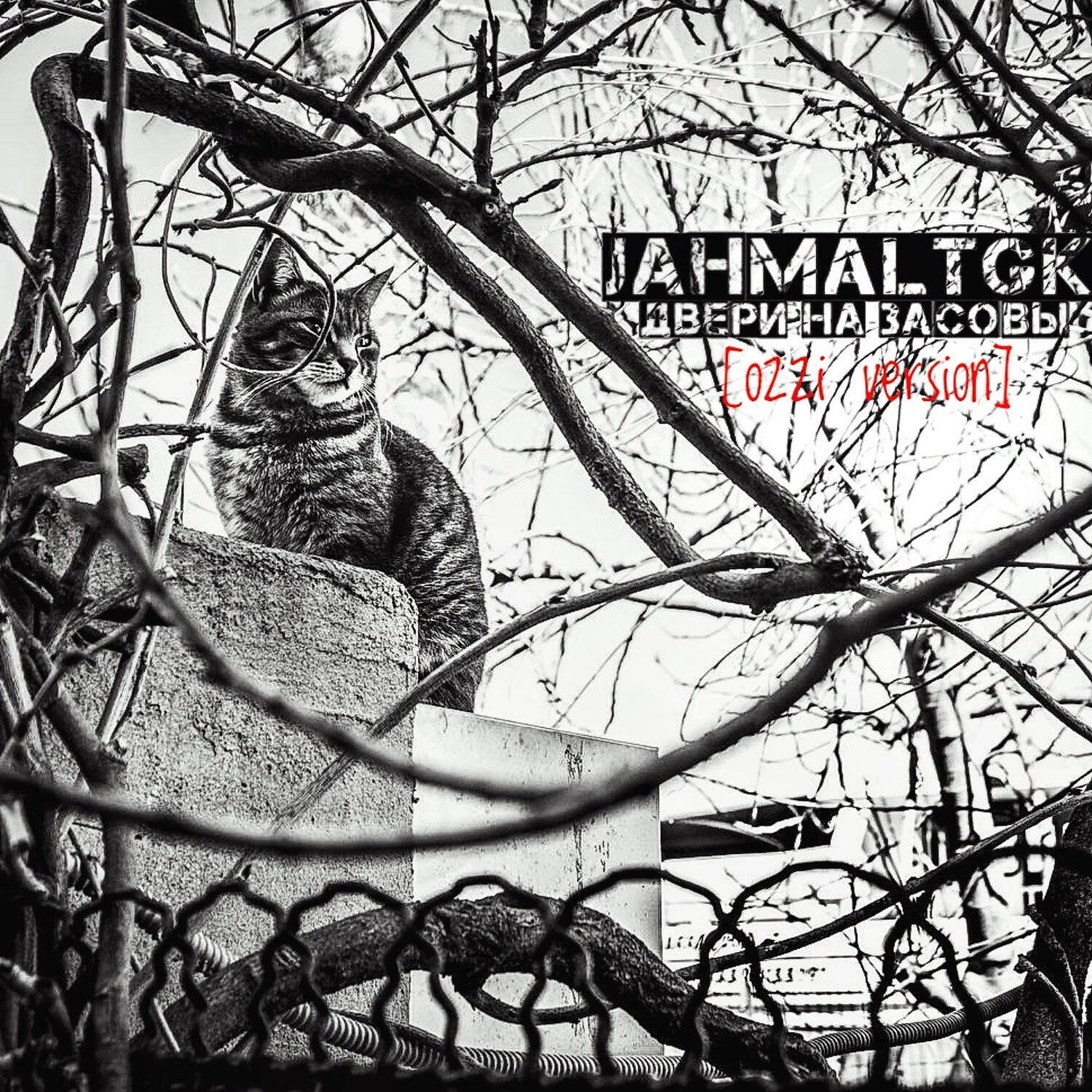 Jahmal TGK - Двери на засовы (Ozzi Version)