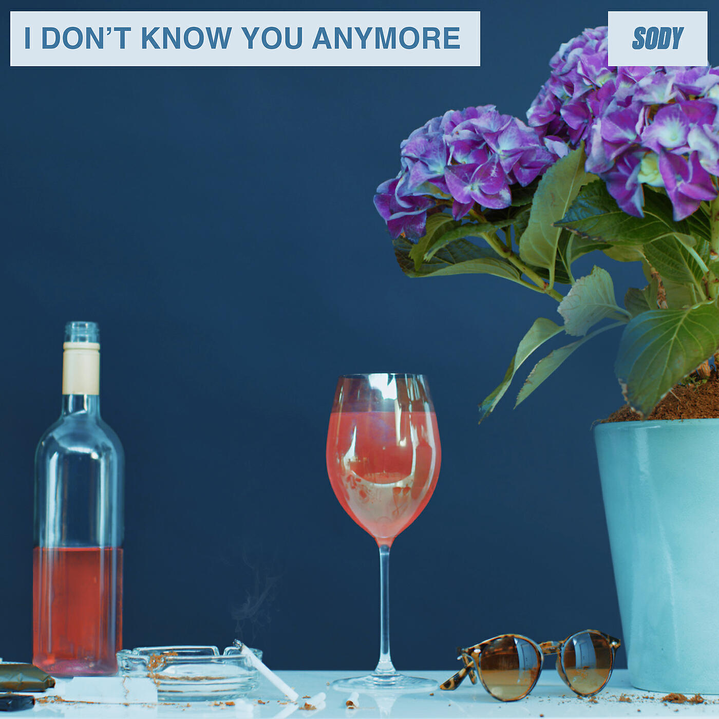 Sody - I Don't Know You Anymore (demo)