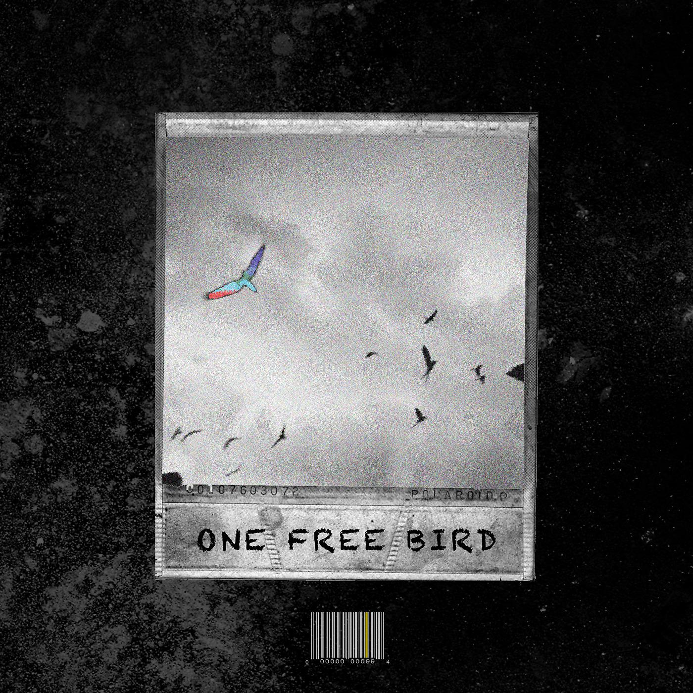 Постер альбома One Free Bird