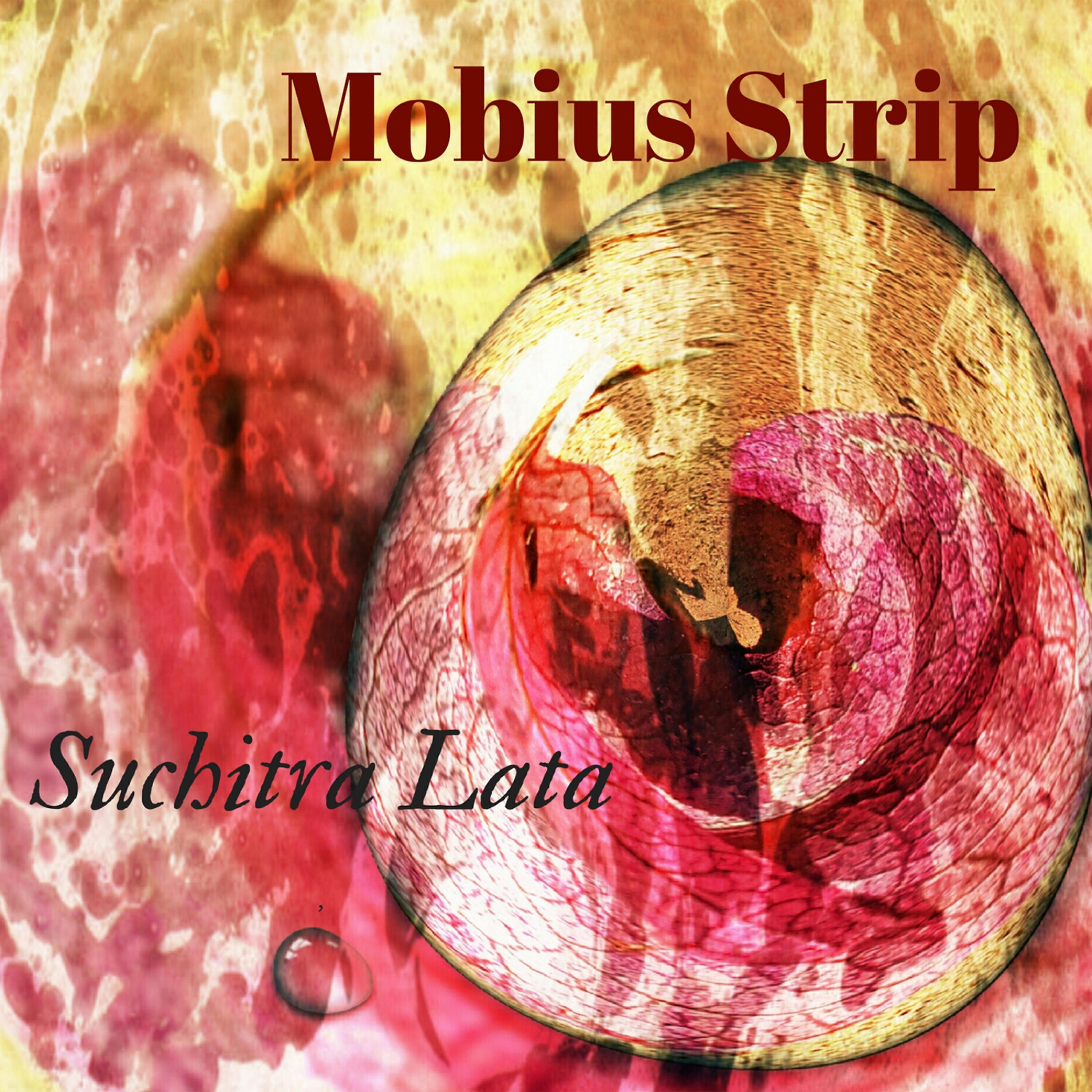 Suchitra Lata - Mobius Strip