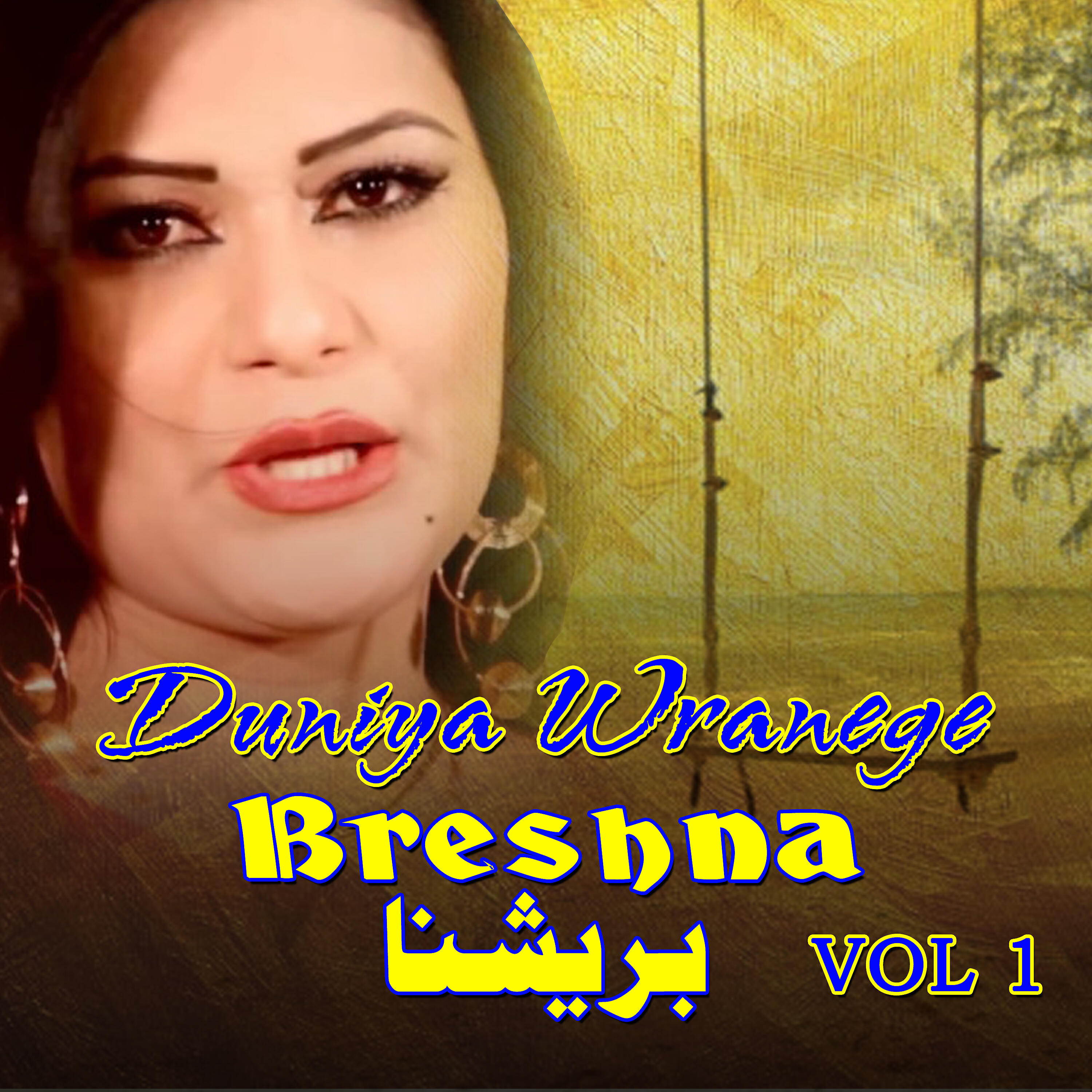 Brishna Amil - Pa Neema Shpa