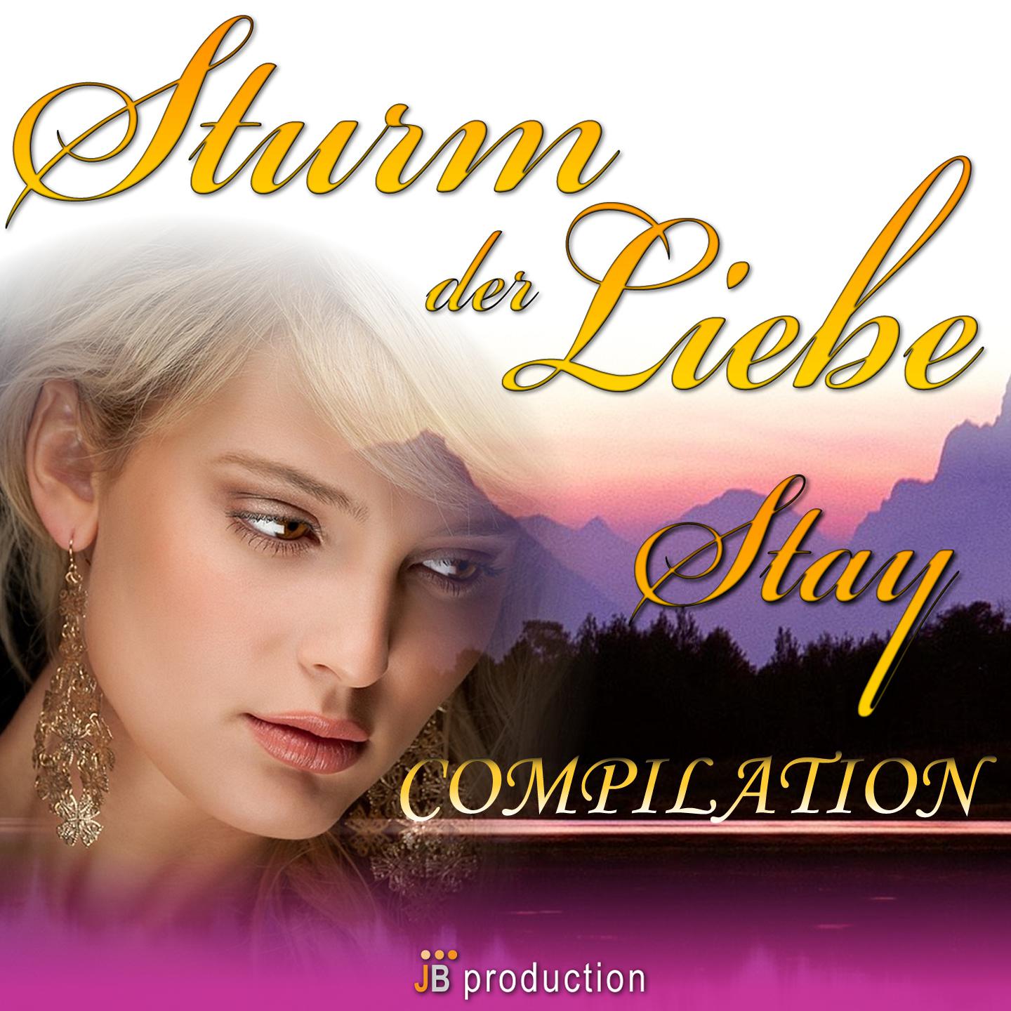 Постер альбома Sturm der liebe Love Hits Compilation