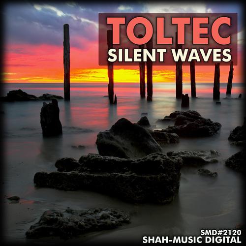 Постер альбома Silent Waves