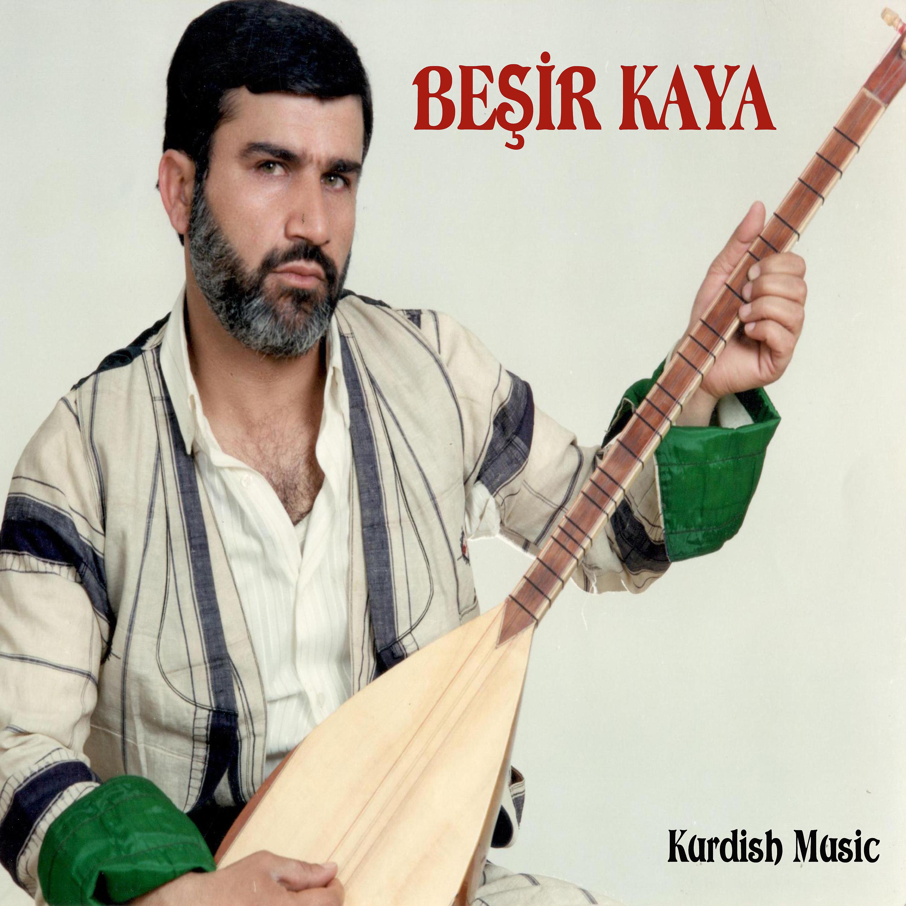 Постер альбома Kürtçe Türküler