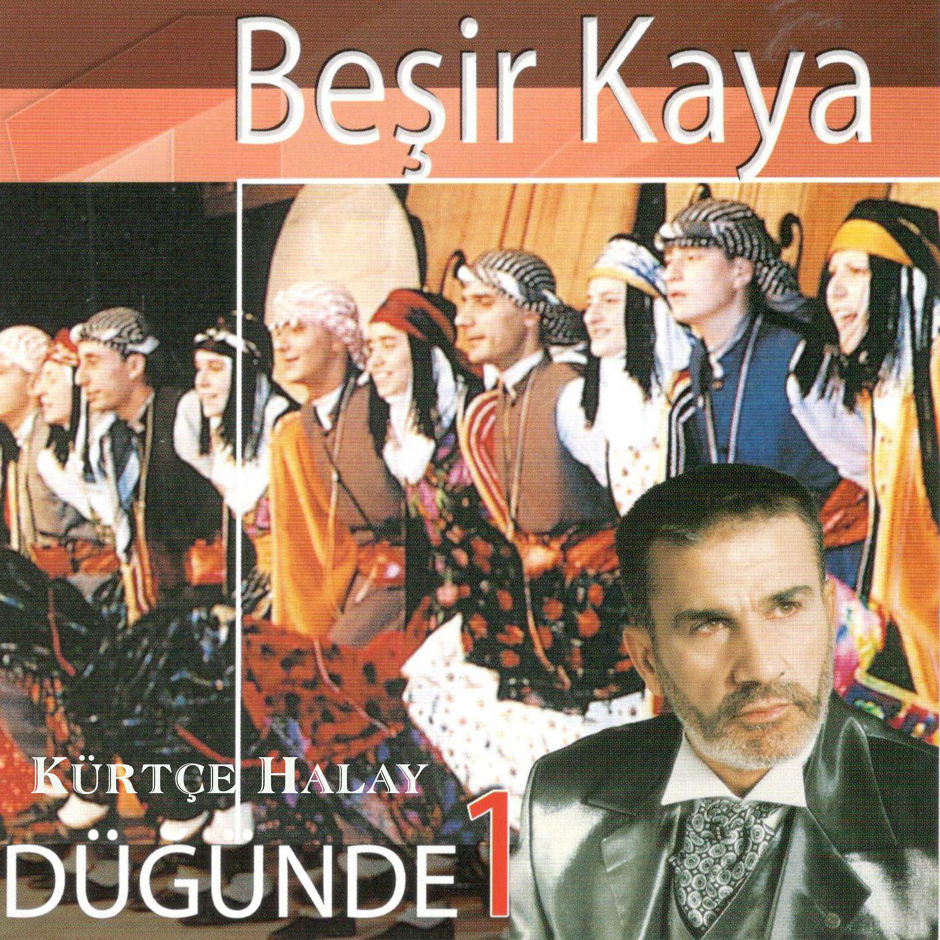 Постер альбома Kürtçe Halay Düğünde, Vol. 1