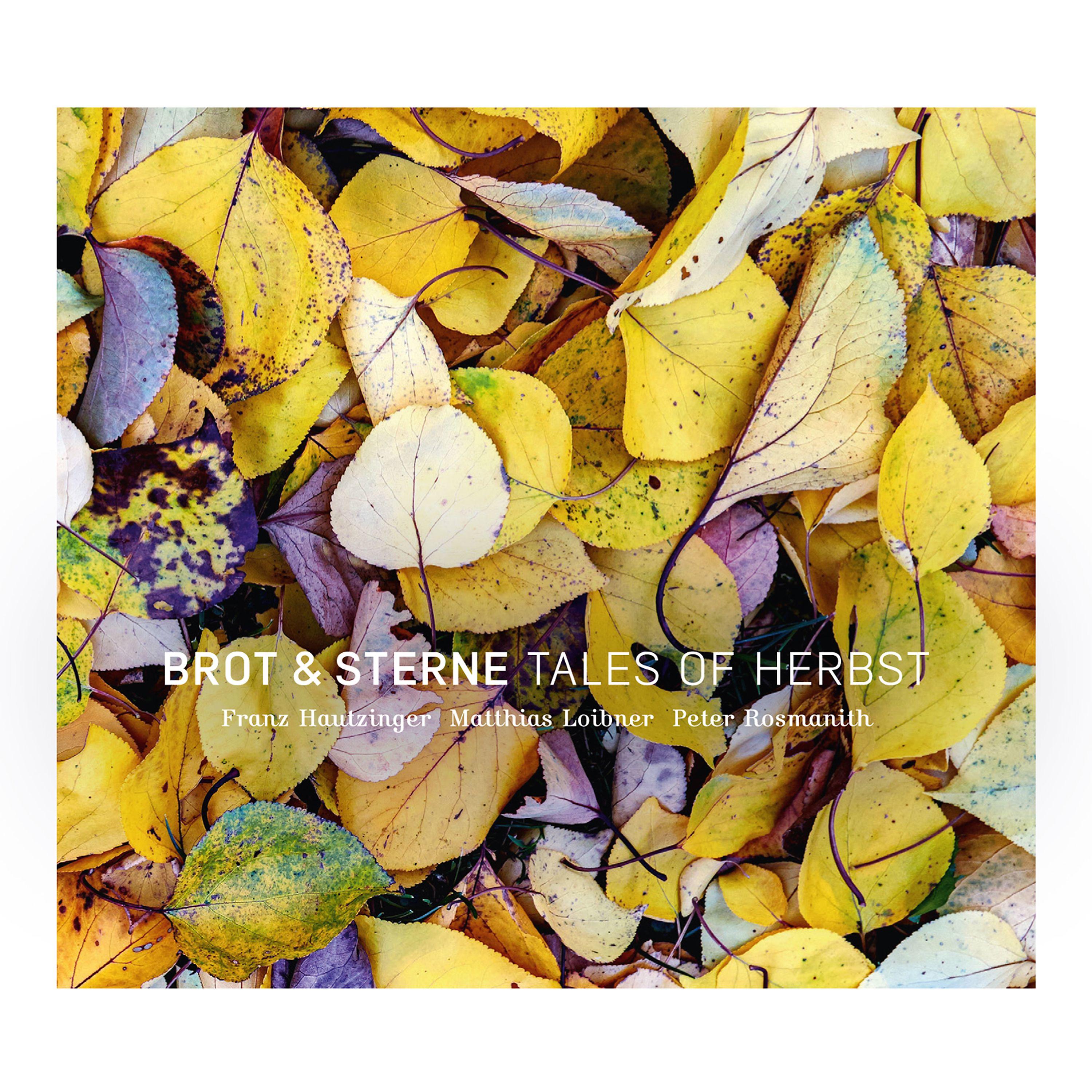 Постер альбома Tales of Herbst