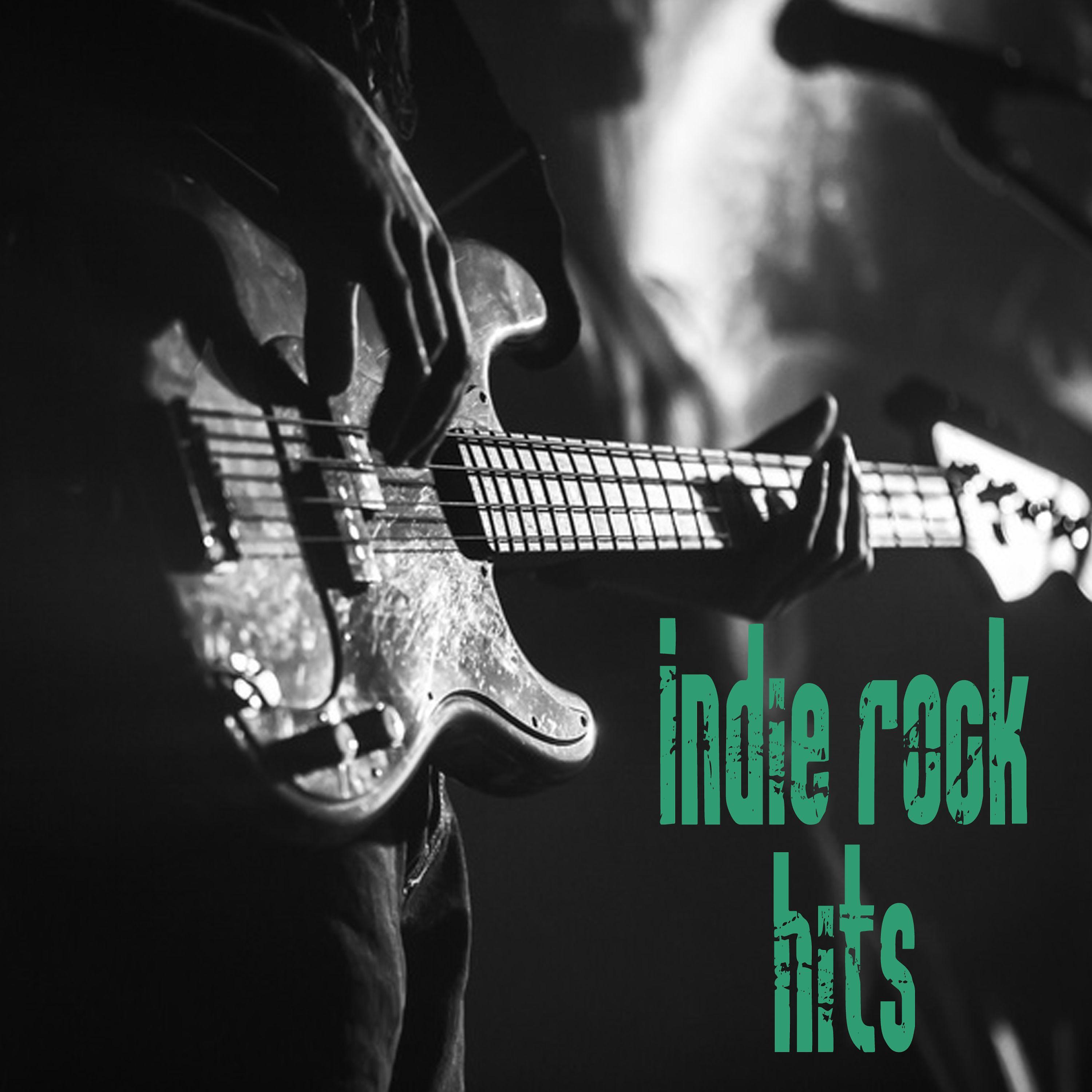 Постер альбома Indie Rock Hits