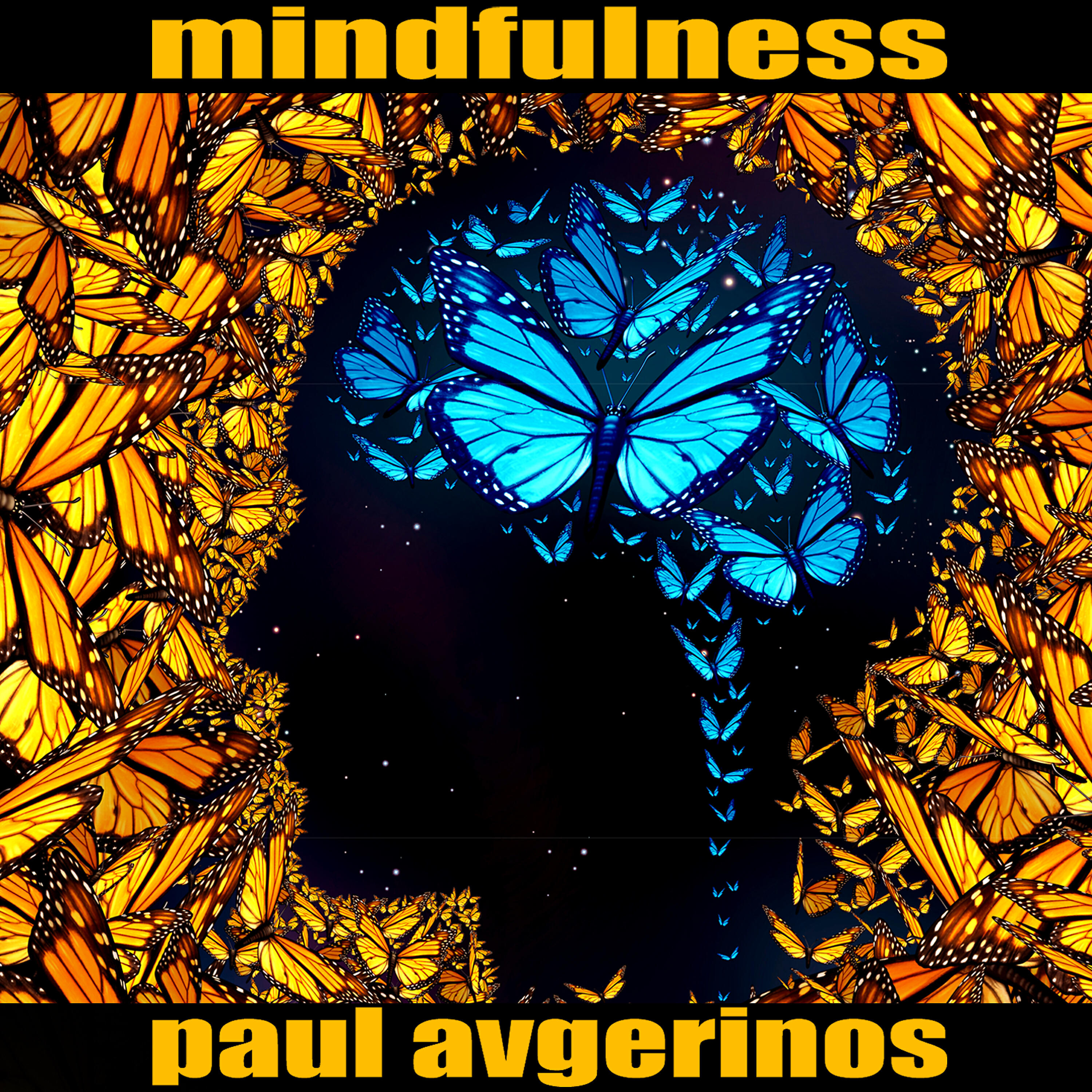 Paul Avgerinos - Beginner's Mind