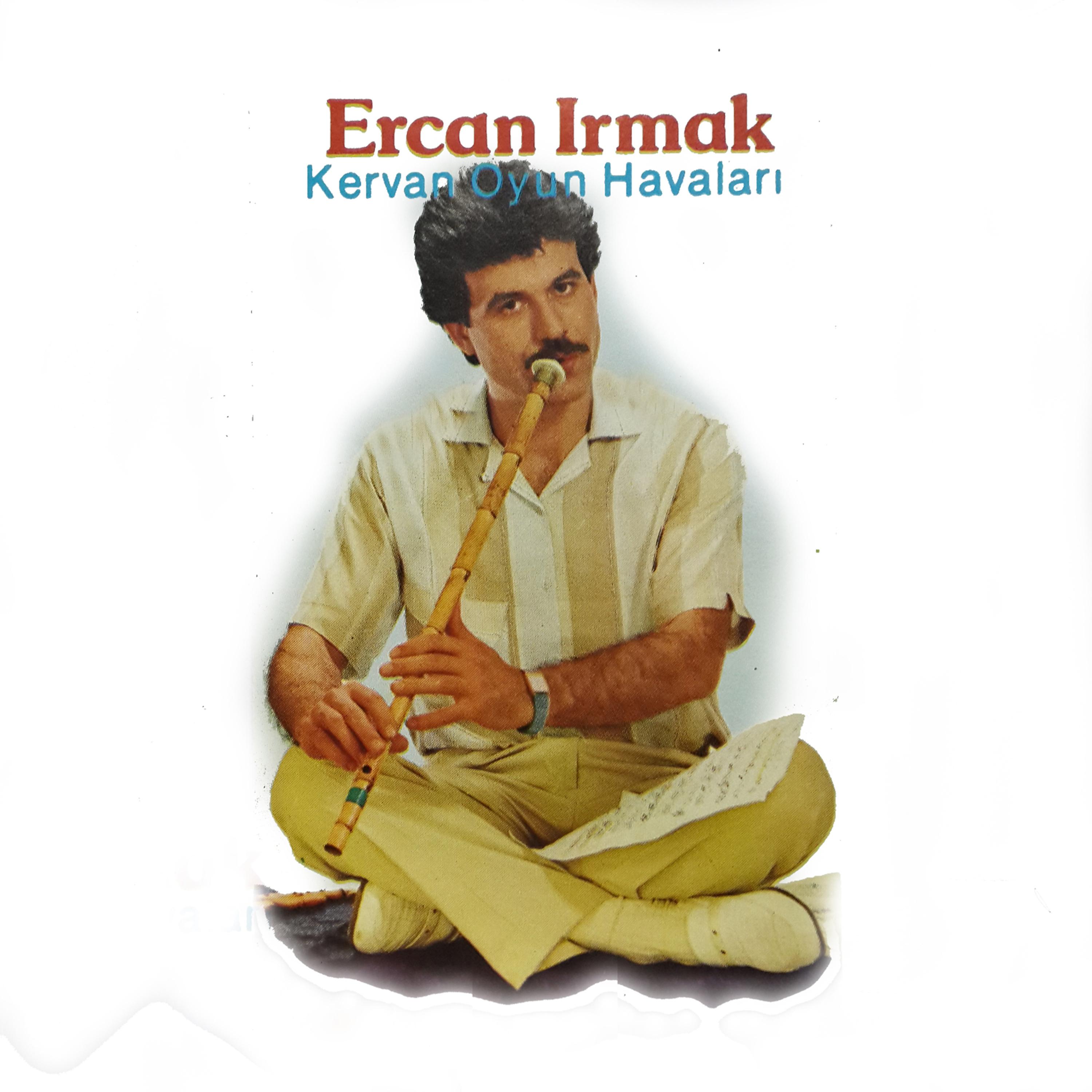 Постер альбома Kervan Oyun Havaları (Enstrümantal)