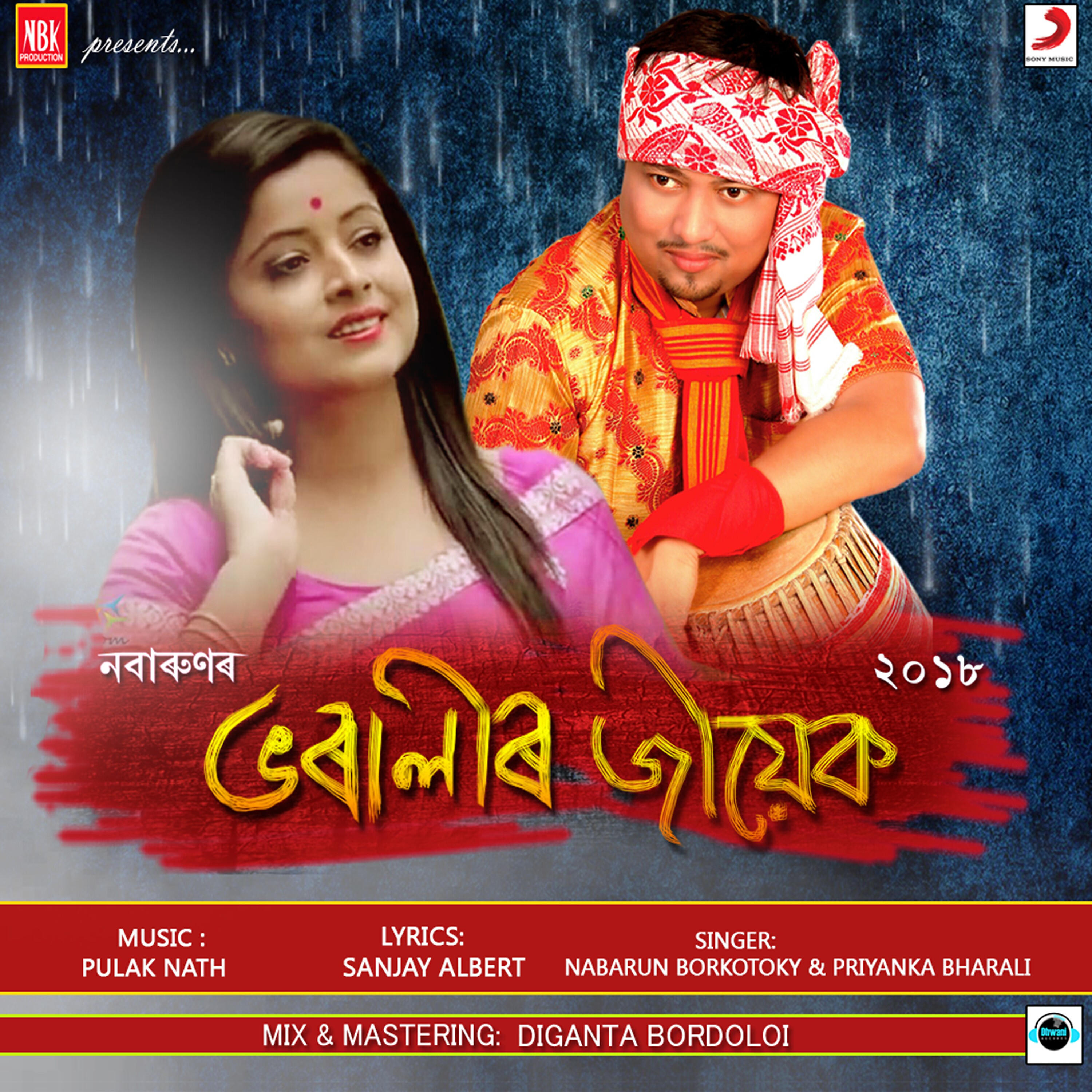 Nabarun Borkotoky - Bharalir Jiyek
