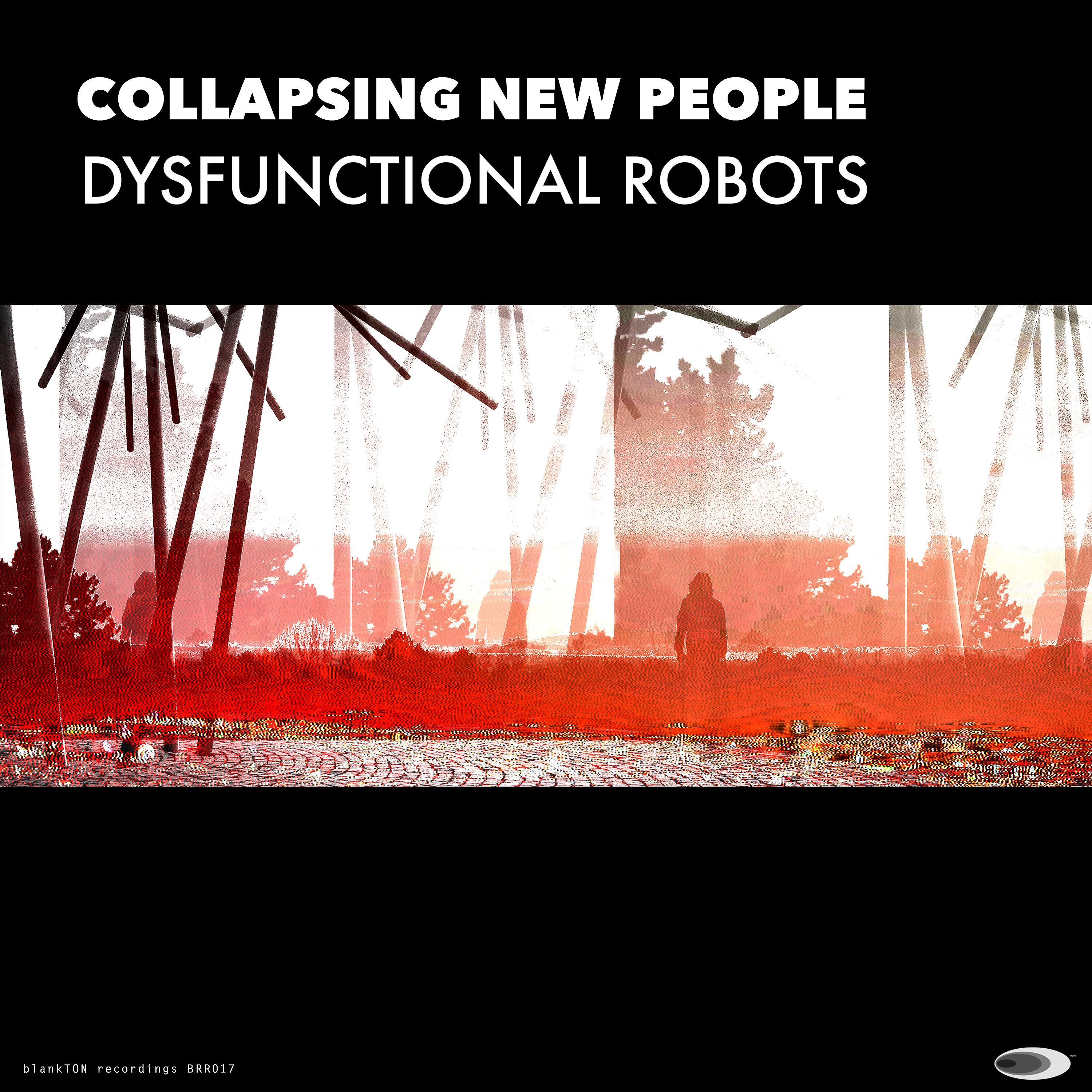 Постер альбома Dysfunctional Robots