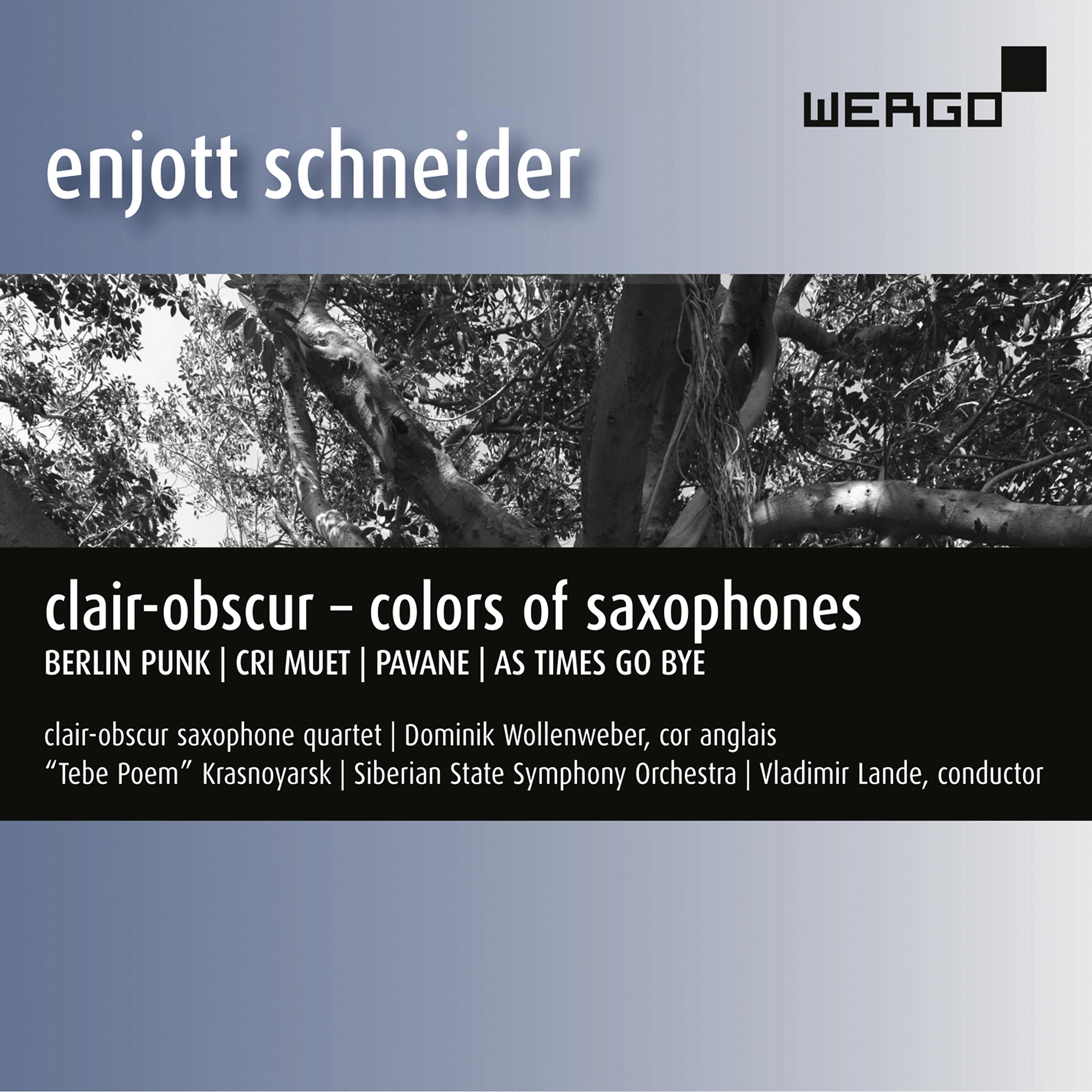 Постер альбома Enjott Schneider: Clair-Obscur – Colors of Saxophones