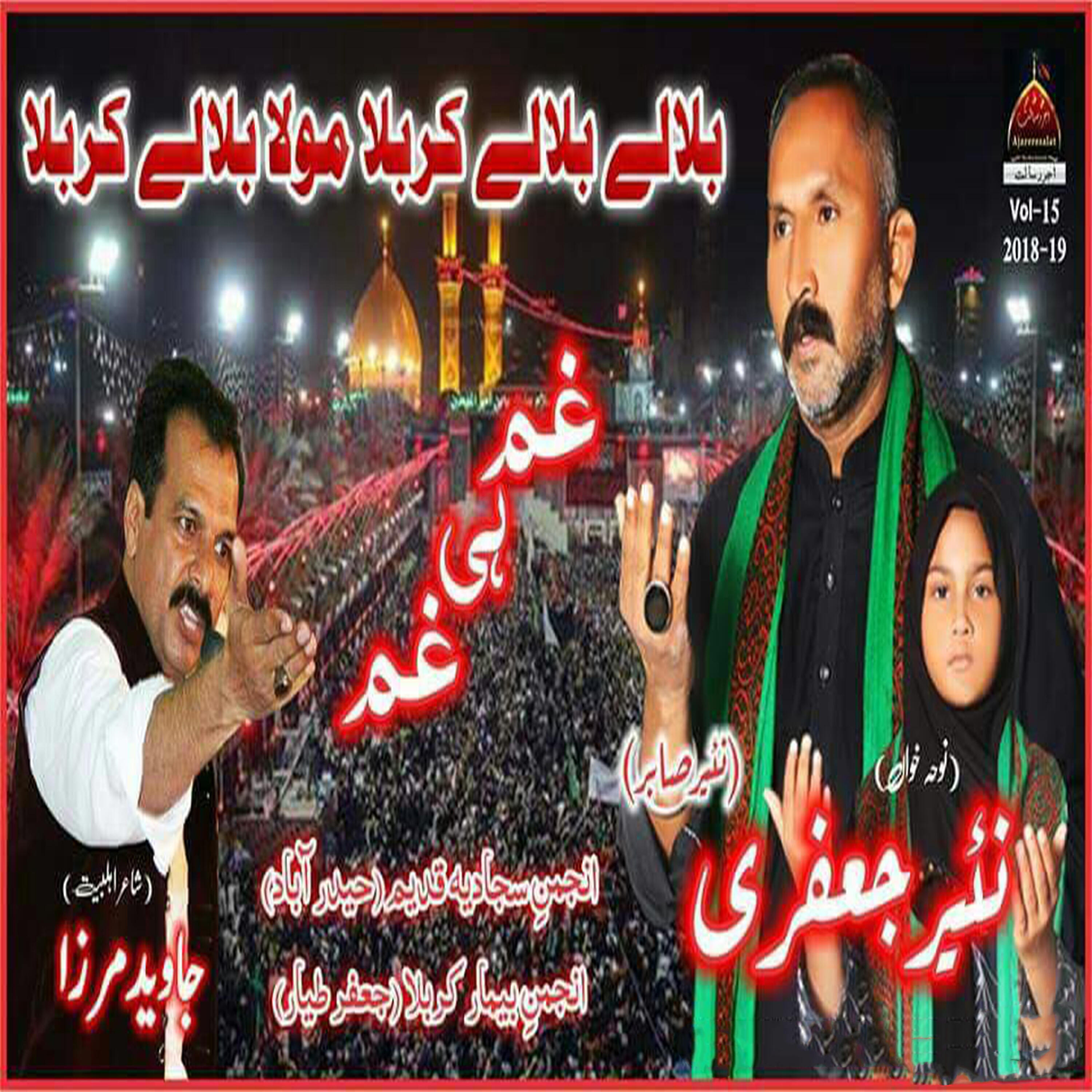 Nayyar Sabir - Aa Ke Kehte Hai Sitam Gar Zainab e Dilgeer