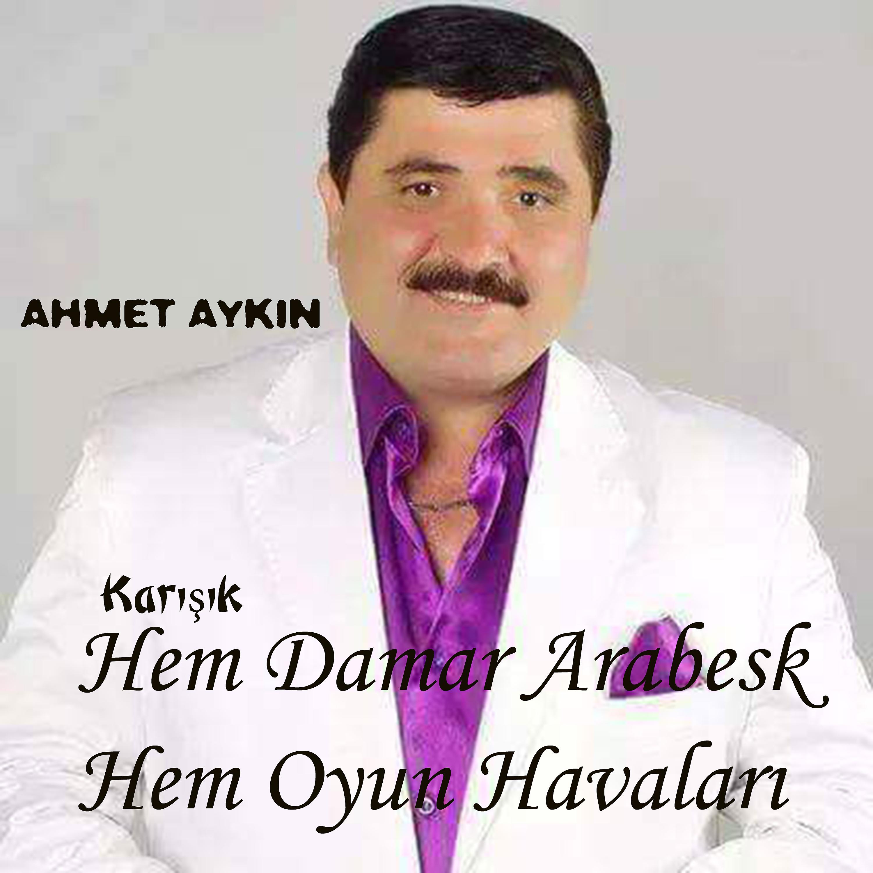 Постер альбома Karışık Hem Damar Arabesk / Hem Oyun Havaları