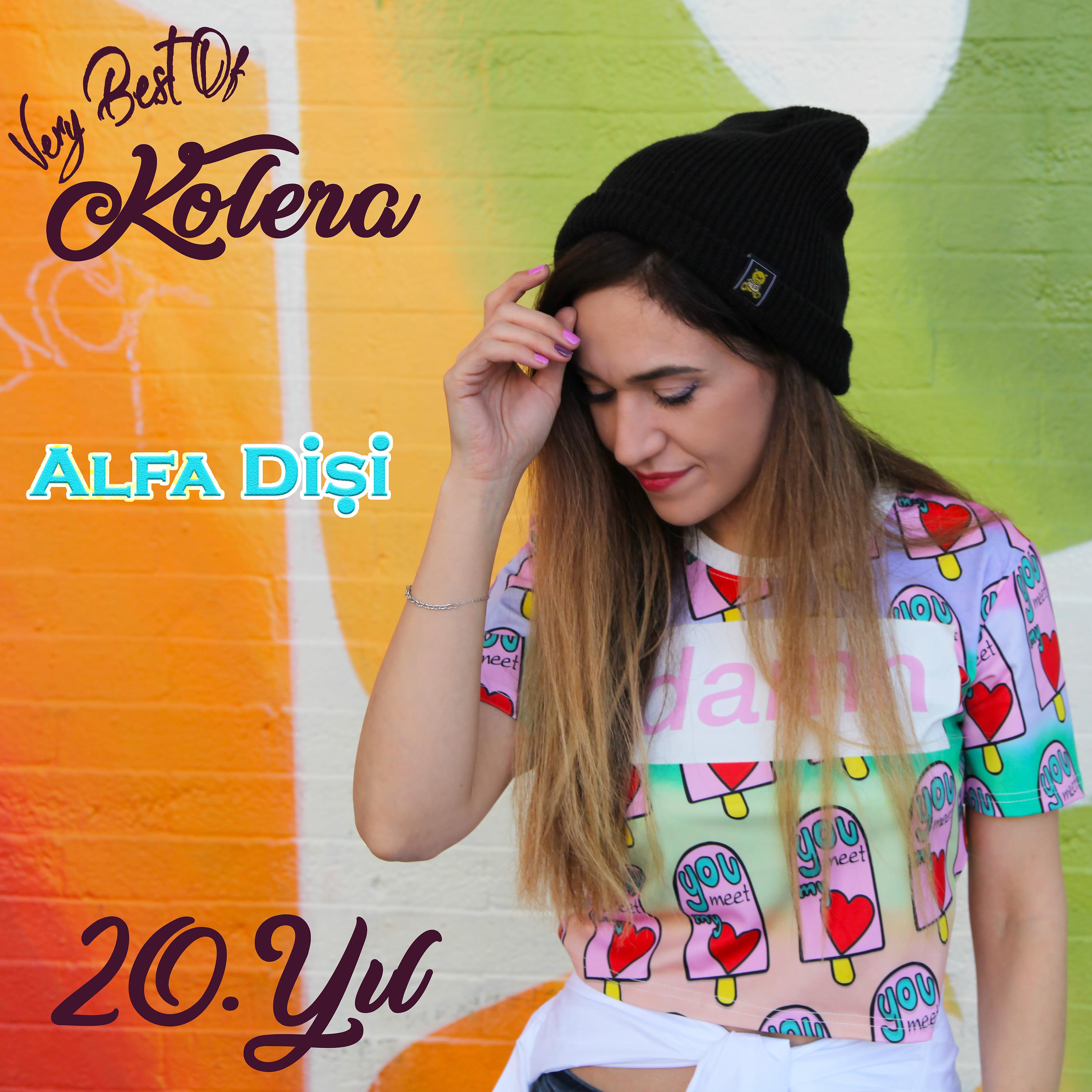 Постер альбома Alfa Dişi