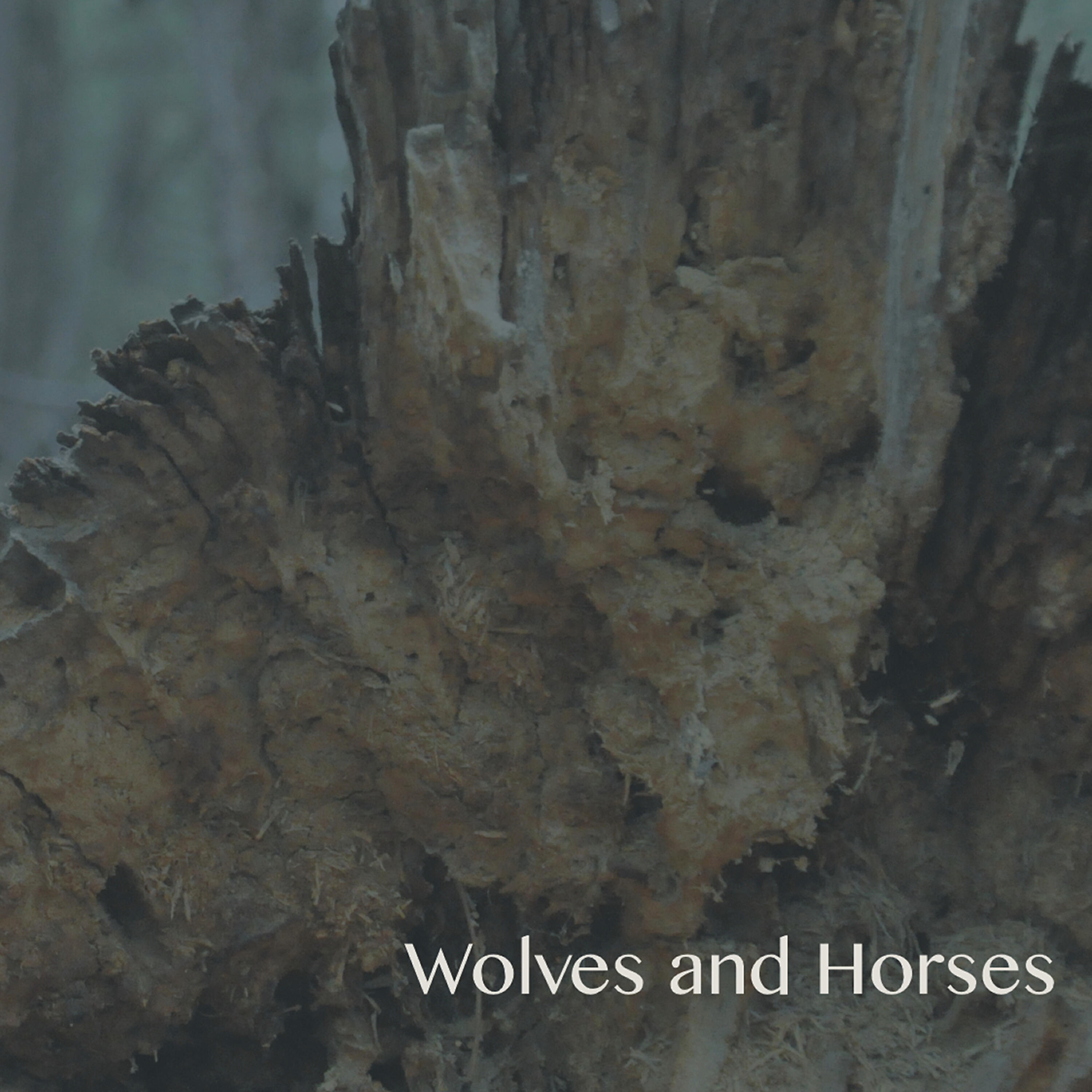 Wolves - A Light Gray Morning