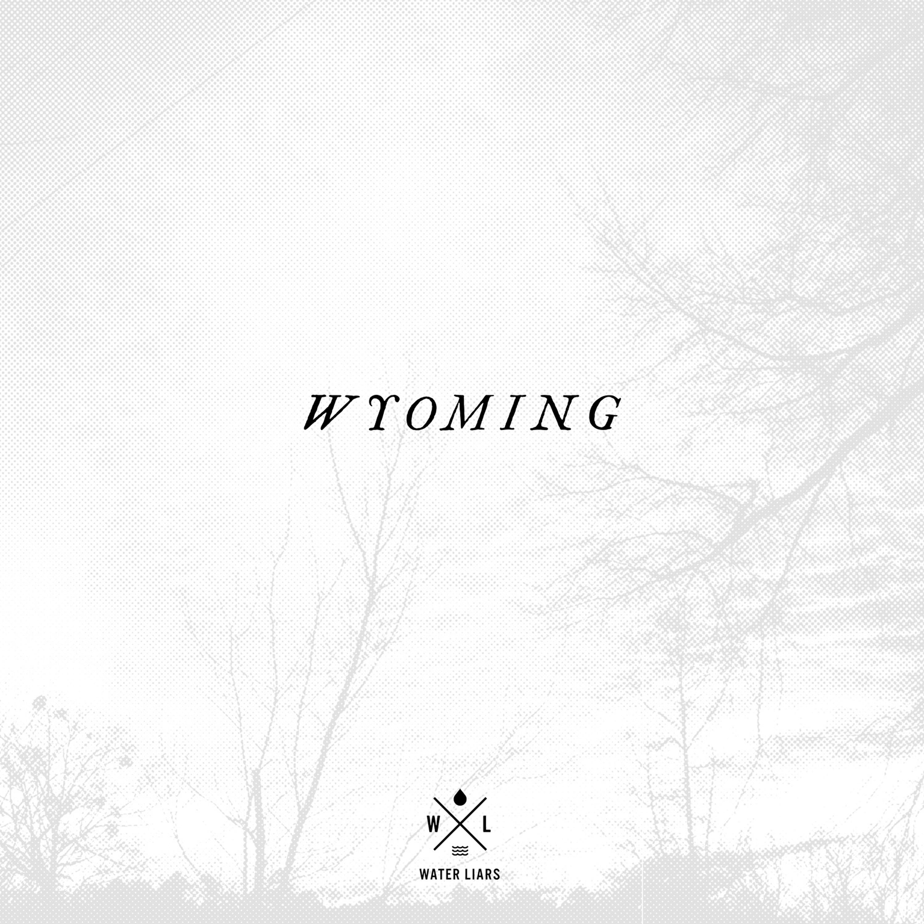 Постер альбома Wyoming