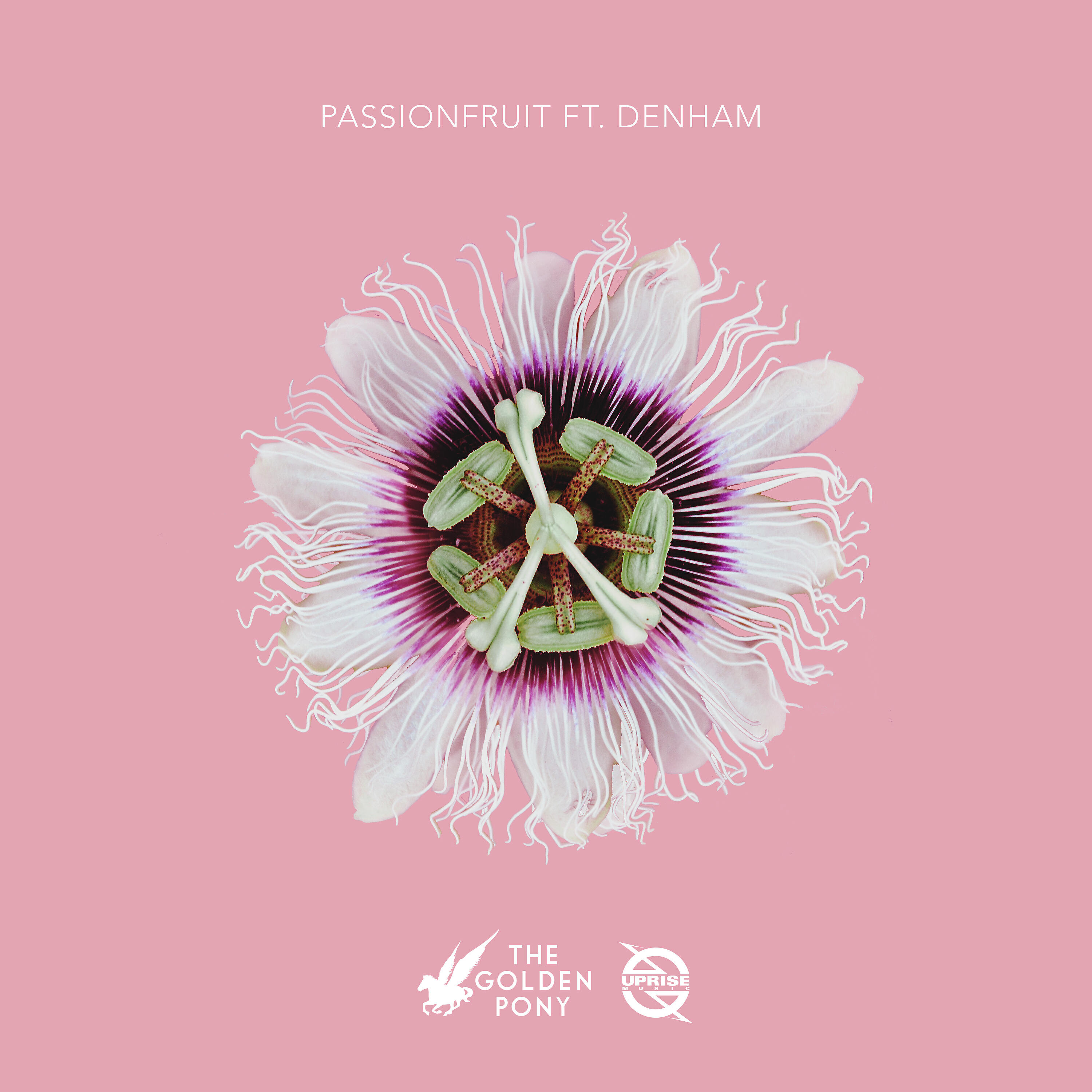 Denham - Passionfruit