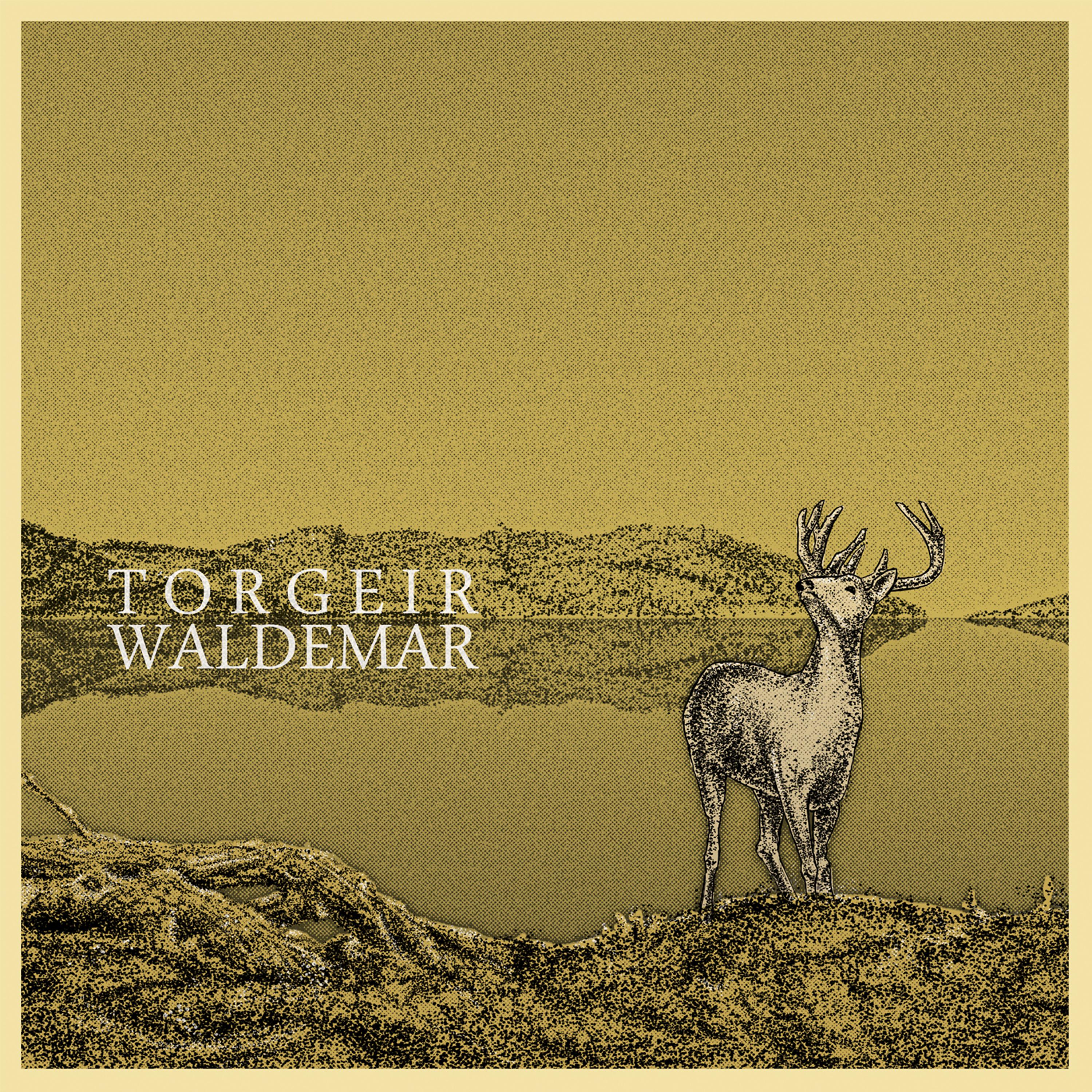 Постер альбома Torgeir Waldemar