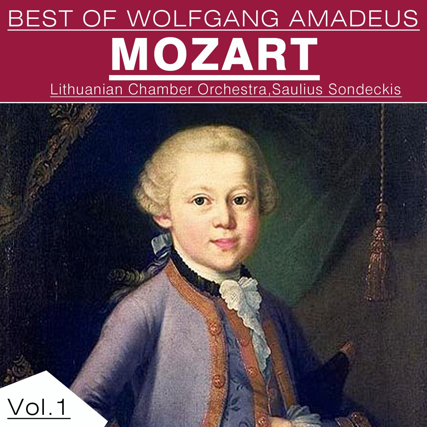 Постер альбома Best of Wolfgang Amadeus Mozart, Vol. 1