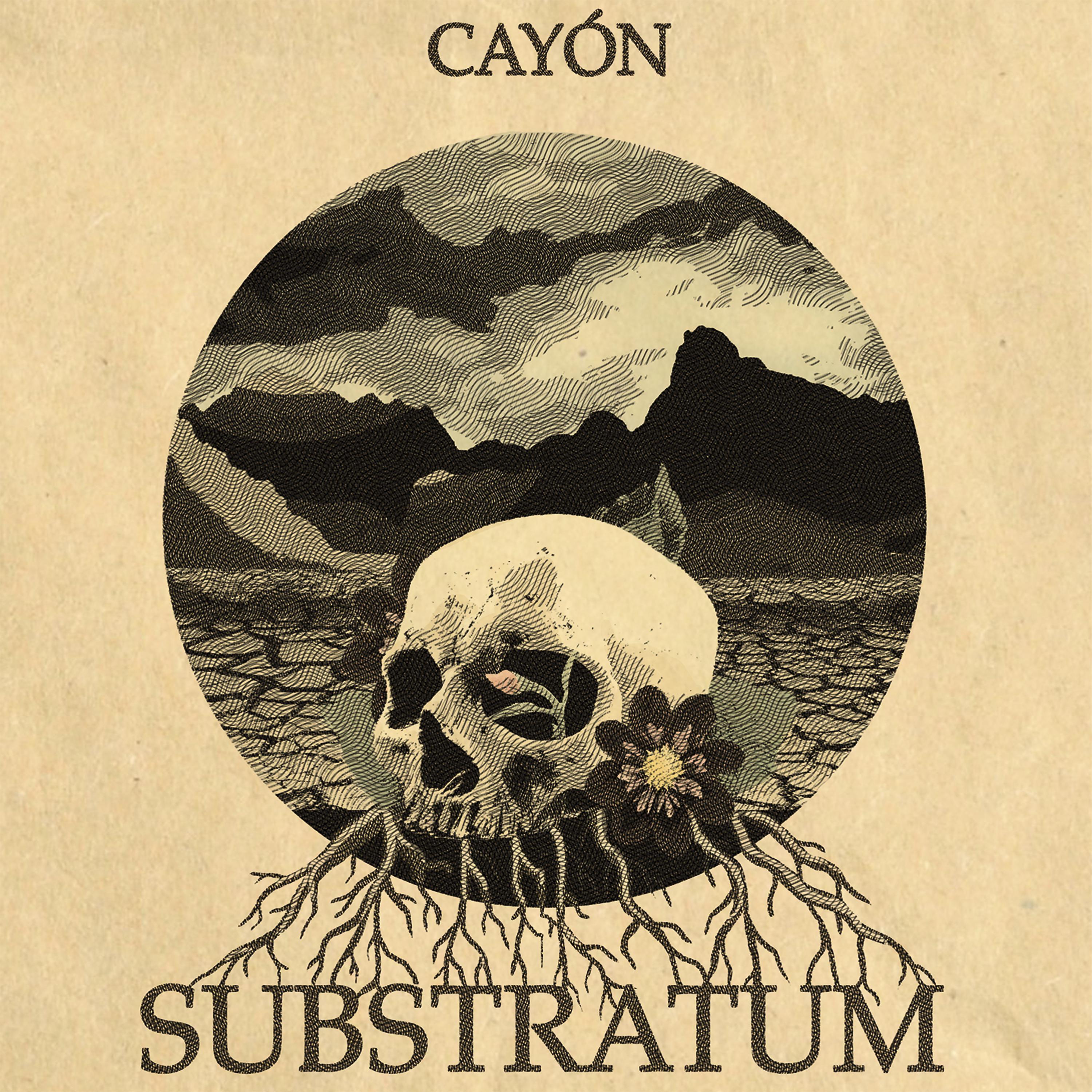 Постер альбома Substratum