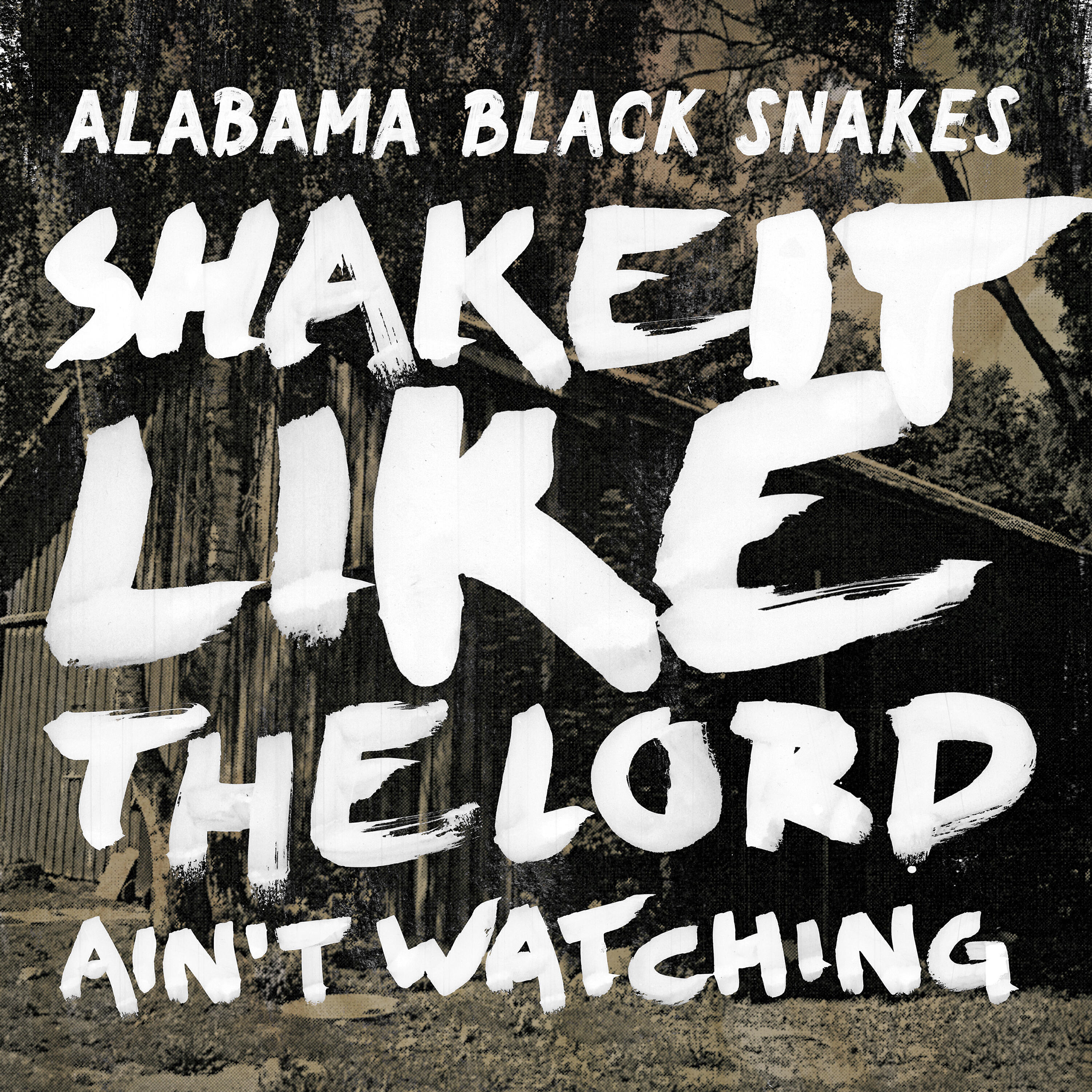 Alabama Black Snakes - Save the Boogie