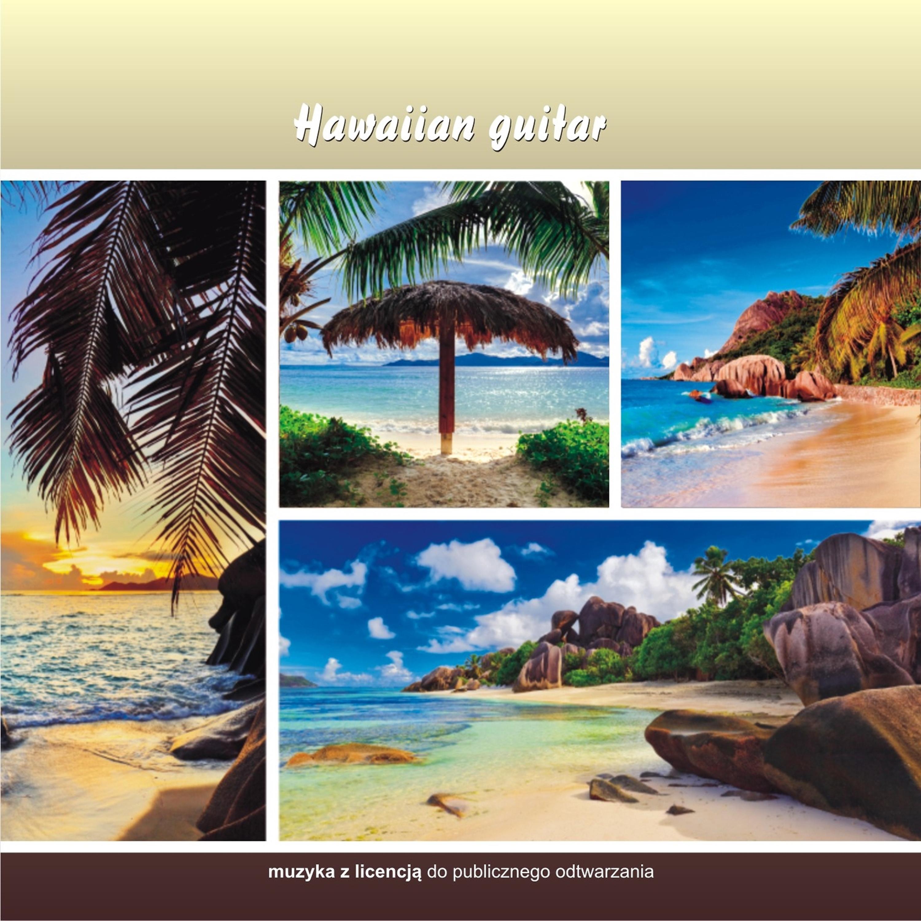 Постер альбома Hawaiian Guitar