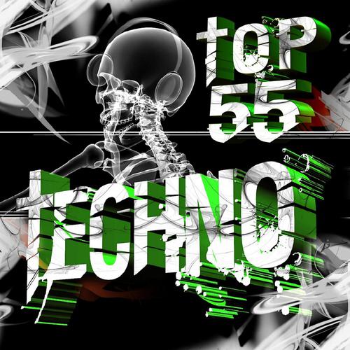 Постер альбома Techno Top 55