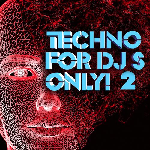 Постер альбома Techno For DJ'S Only! 2