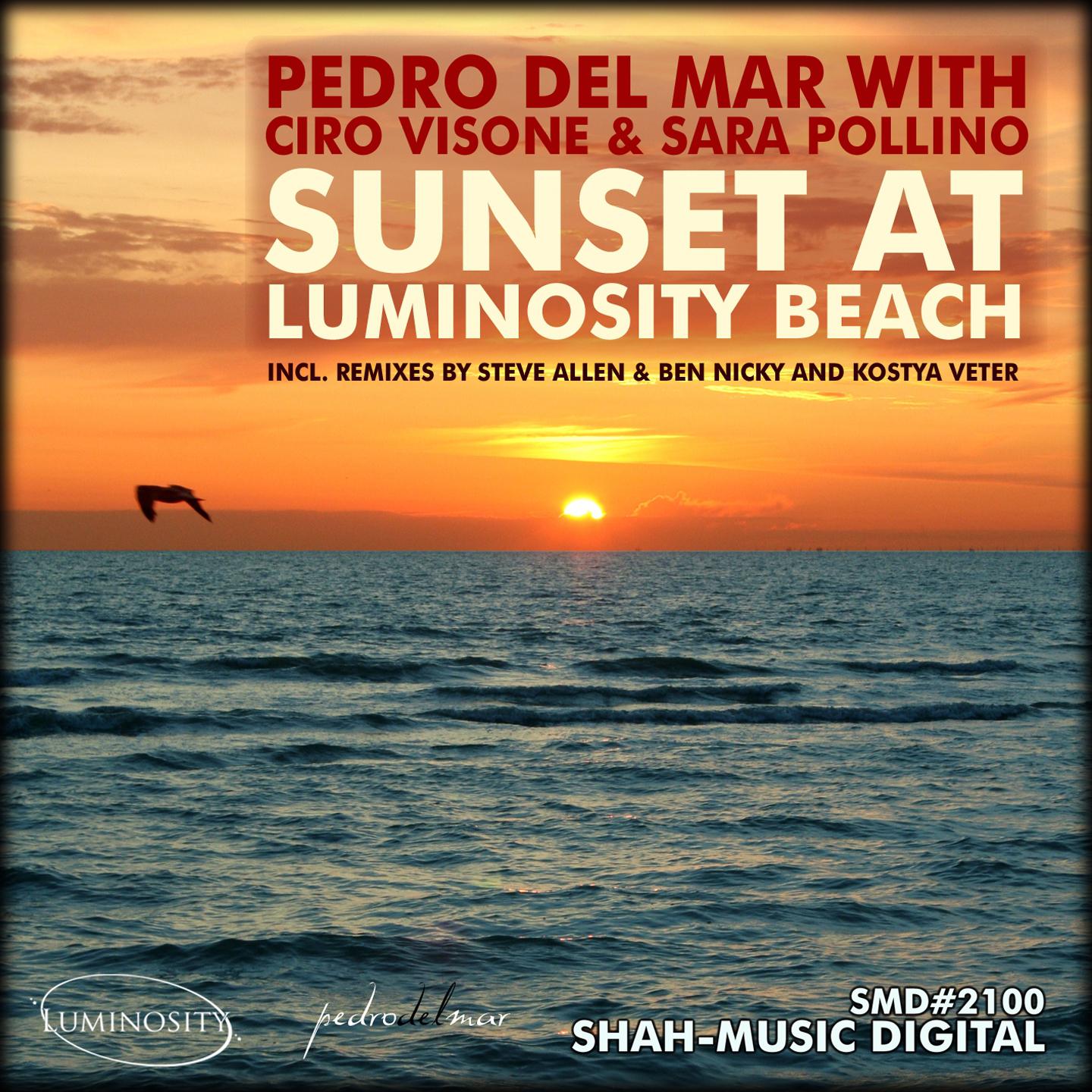 Постер альбома Sunset At Luminosity Beach