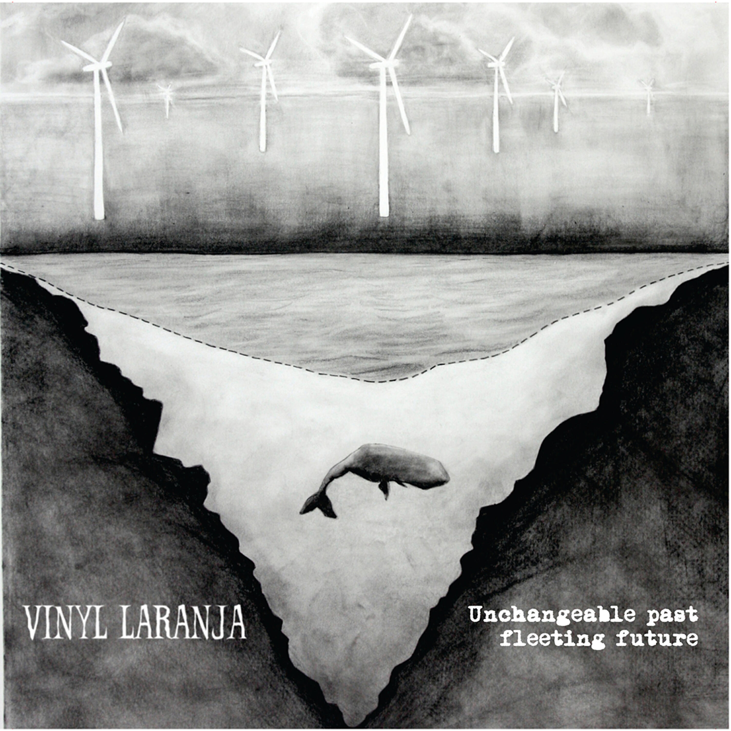 Vinyl Laranja - The Ballad of the Hoarder