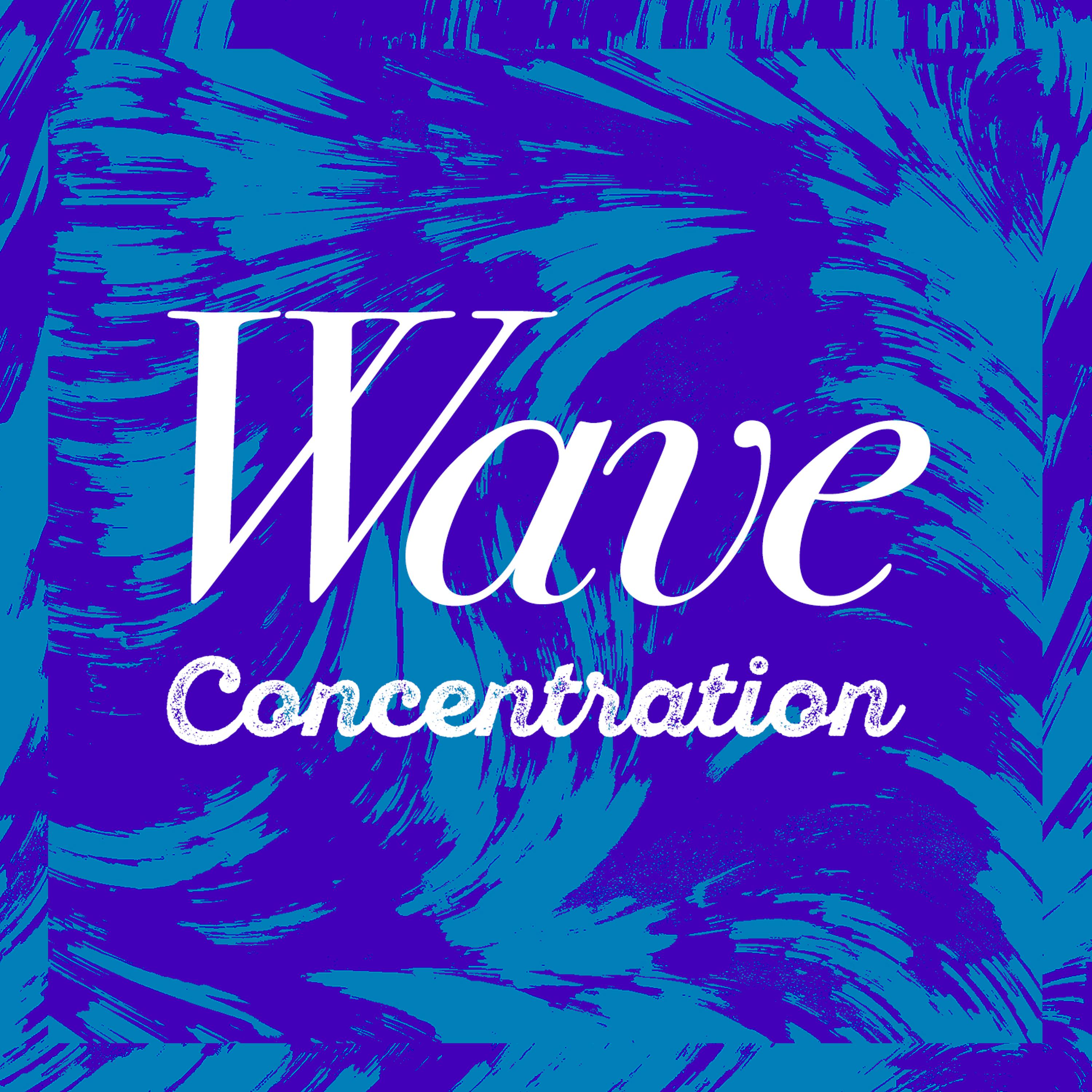 Постер альбома Wave Concentration