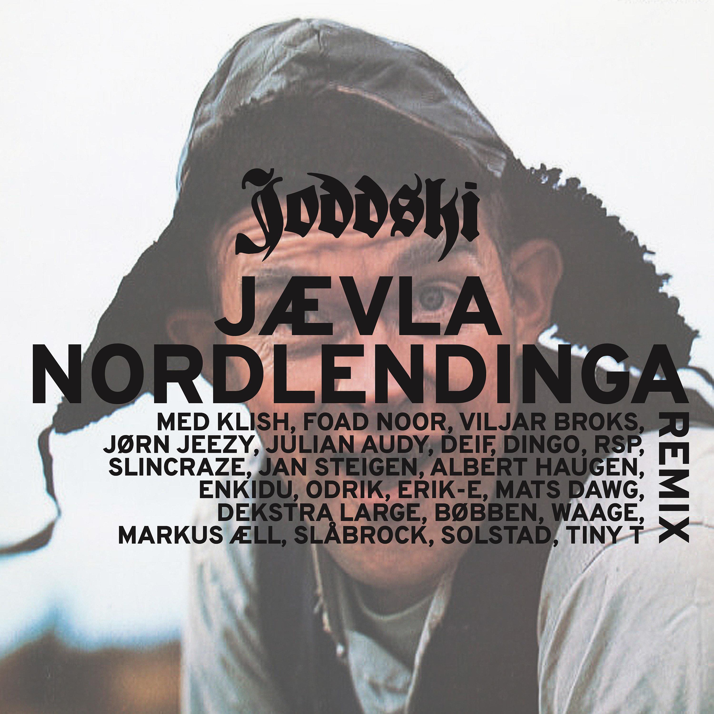 Постер альбома Jævla Nordlendinga Remix