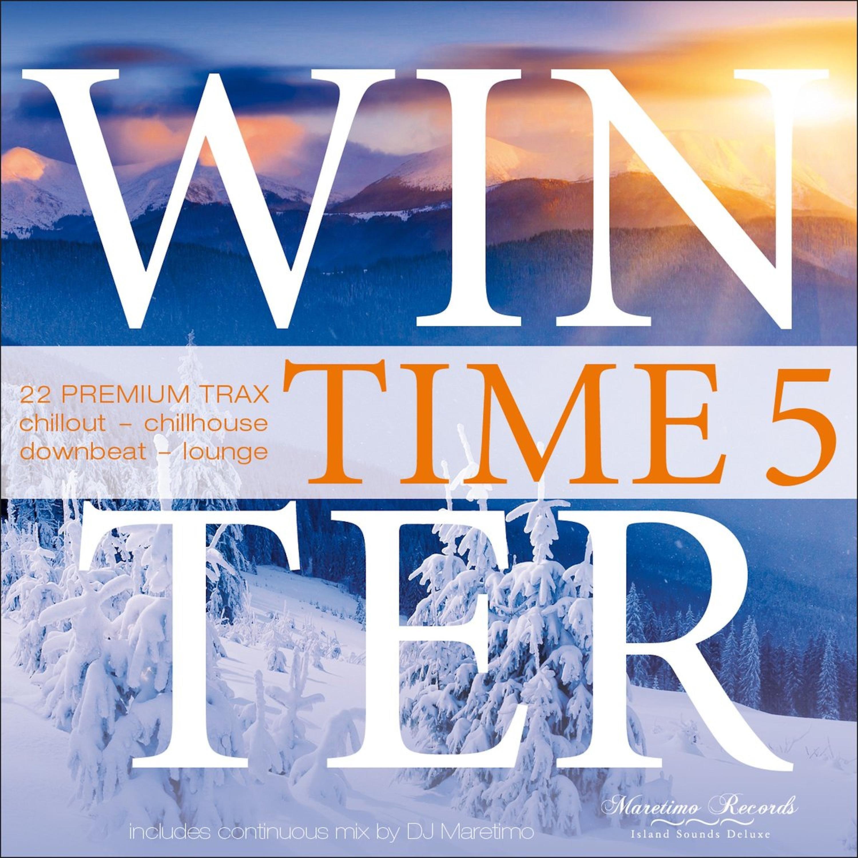 Постер альбома Winter Time, Vol. 5