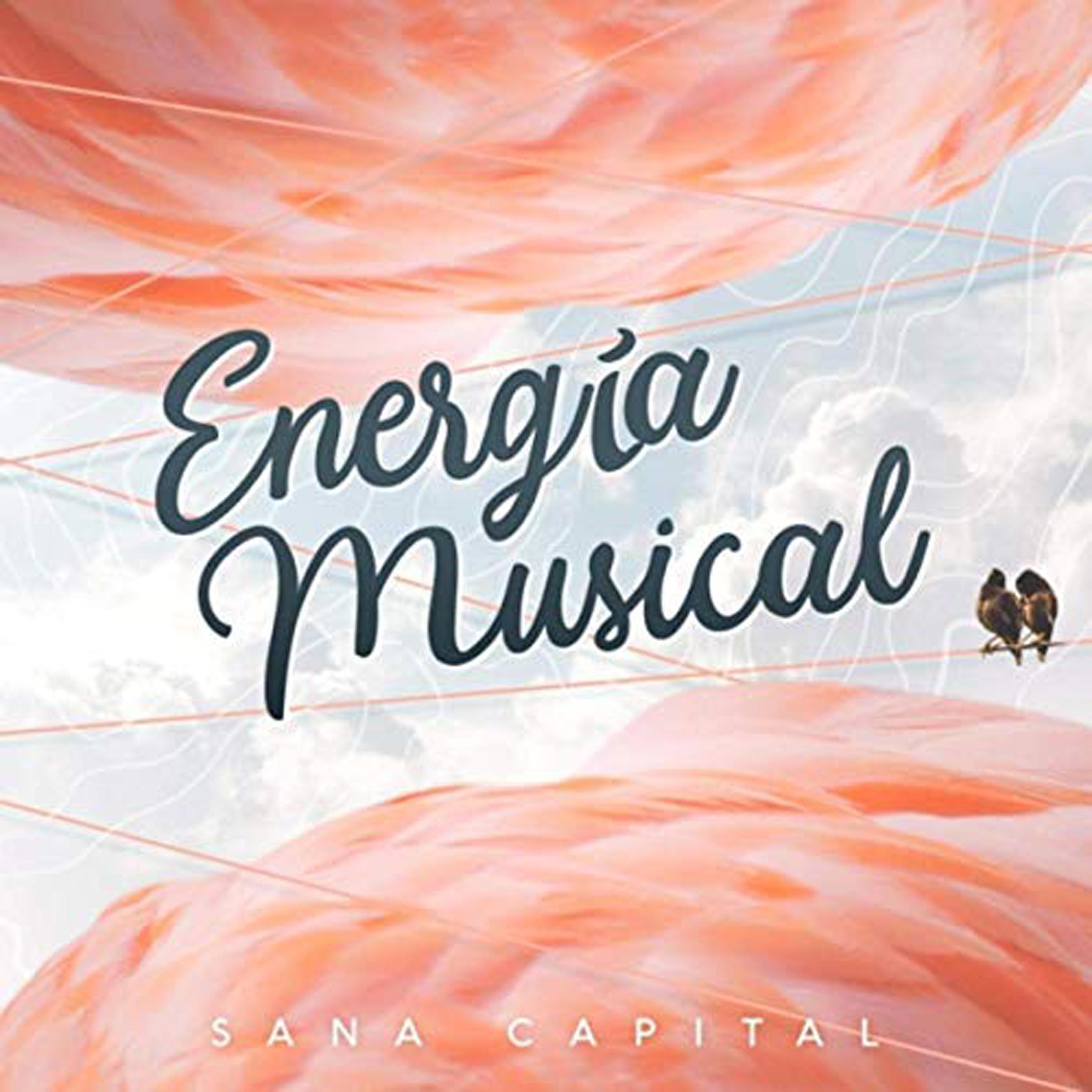 Постер альбома Energía Musical