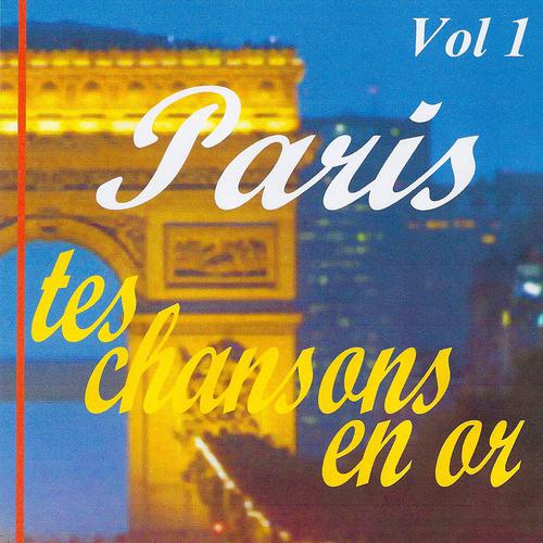 Постер альбома Paris tes chansons en or volume 1