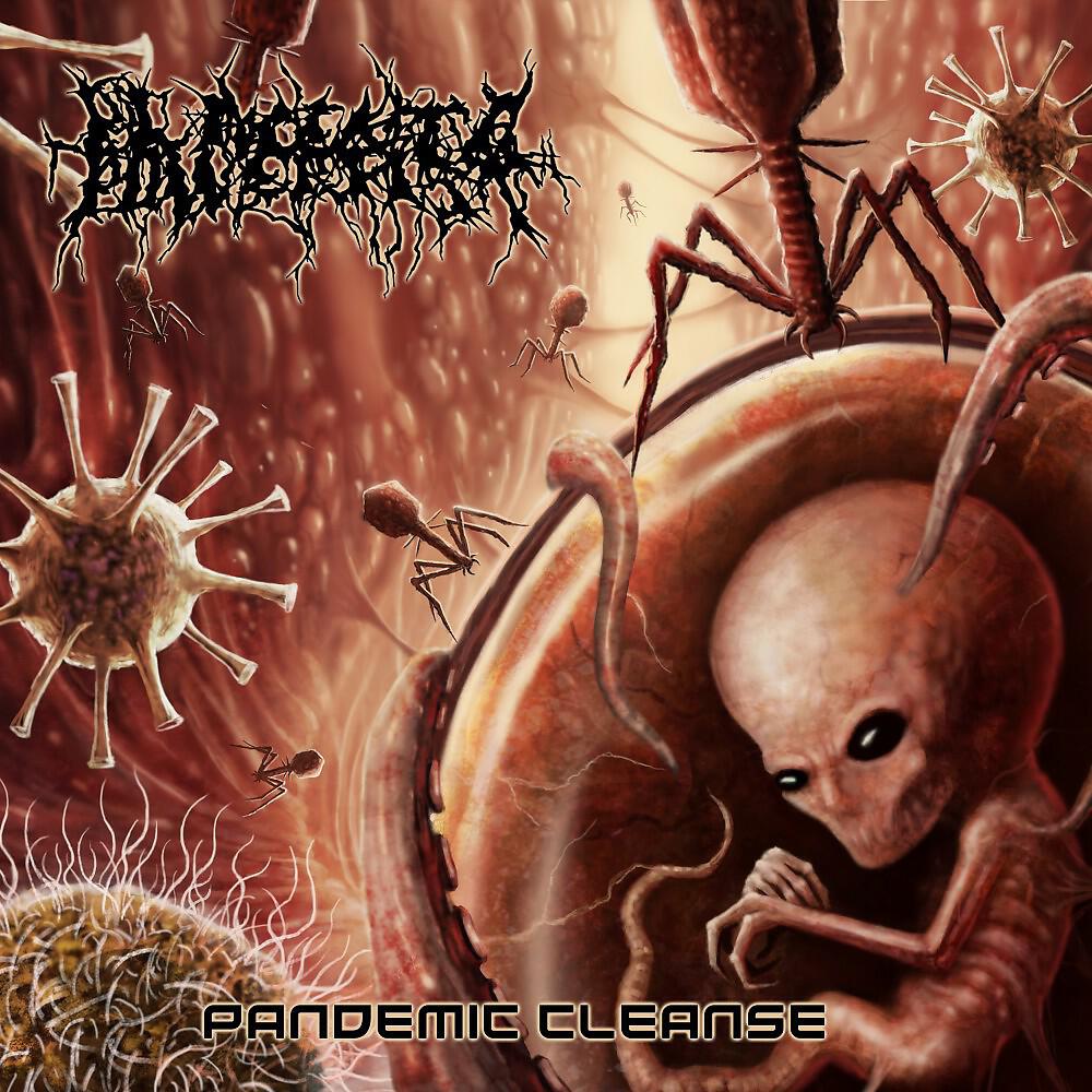Placenta Powerfist - Terrorist Autopsy