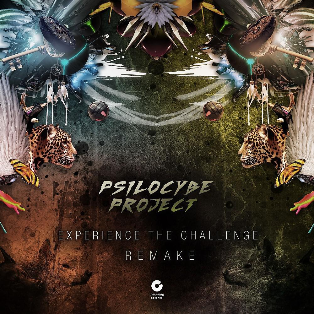 Постер альбома Experience the Challenge (Remake)