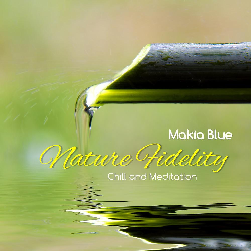 Постер альбома Nature Fidelity (Chill and Meditation)