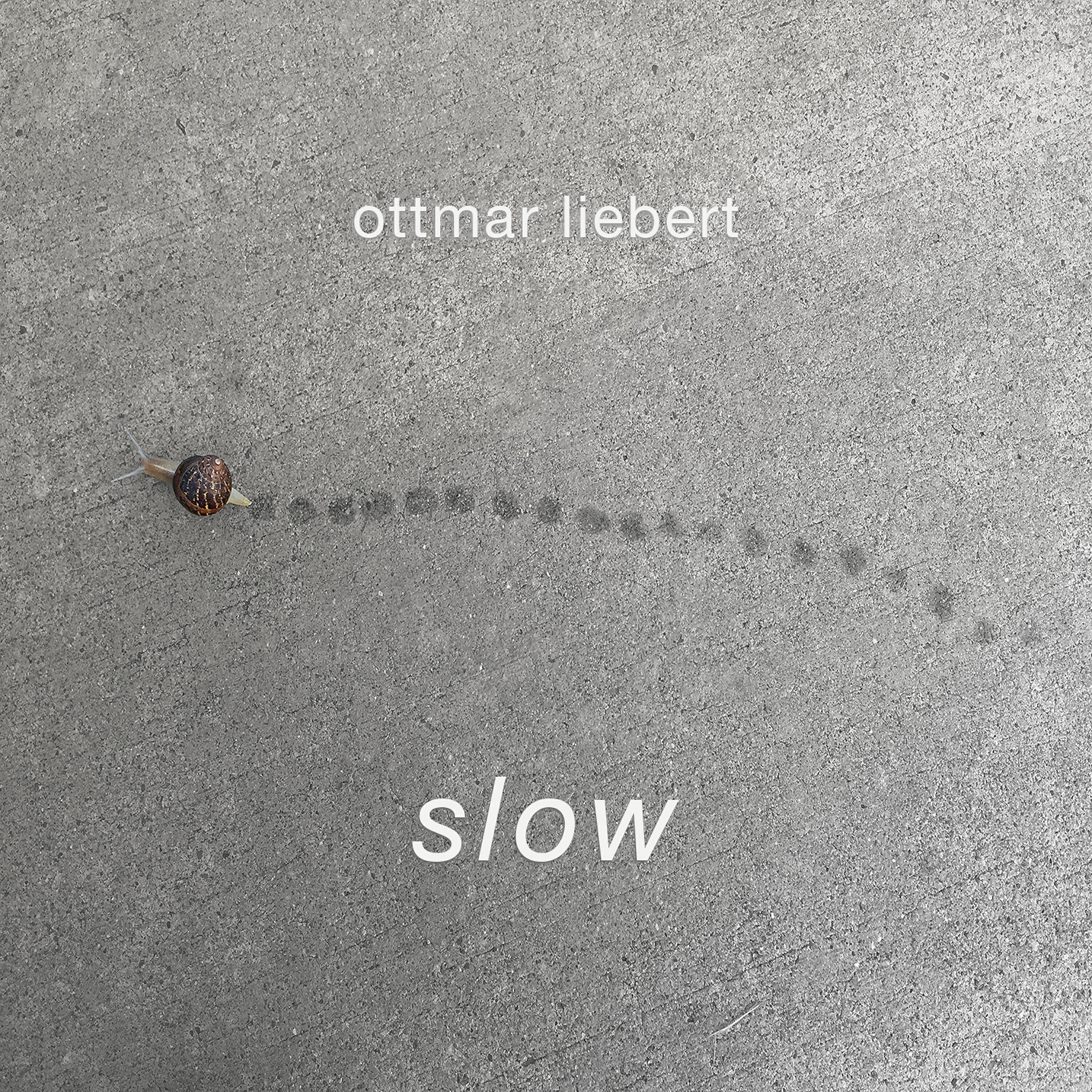 Ottmar Liebert - Elegy
