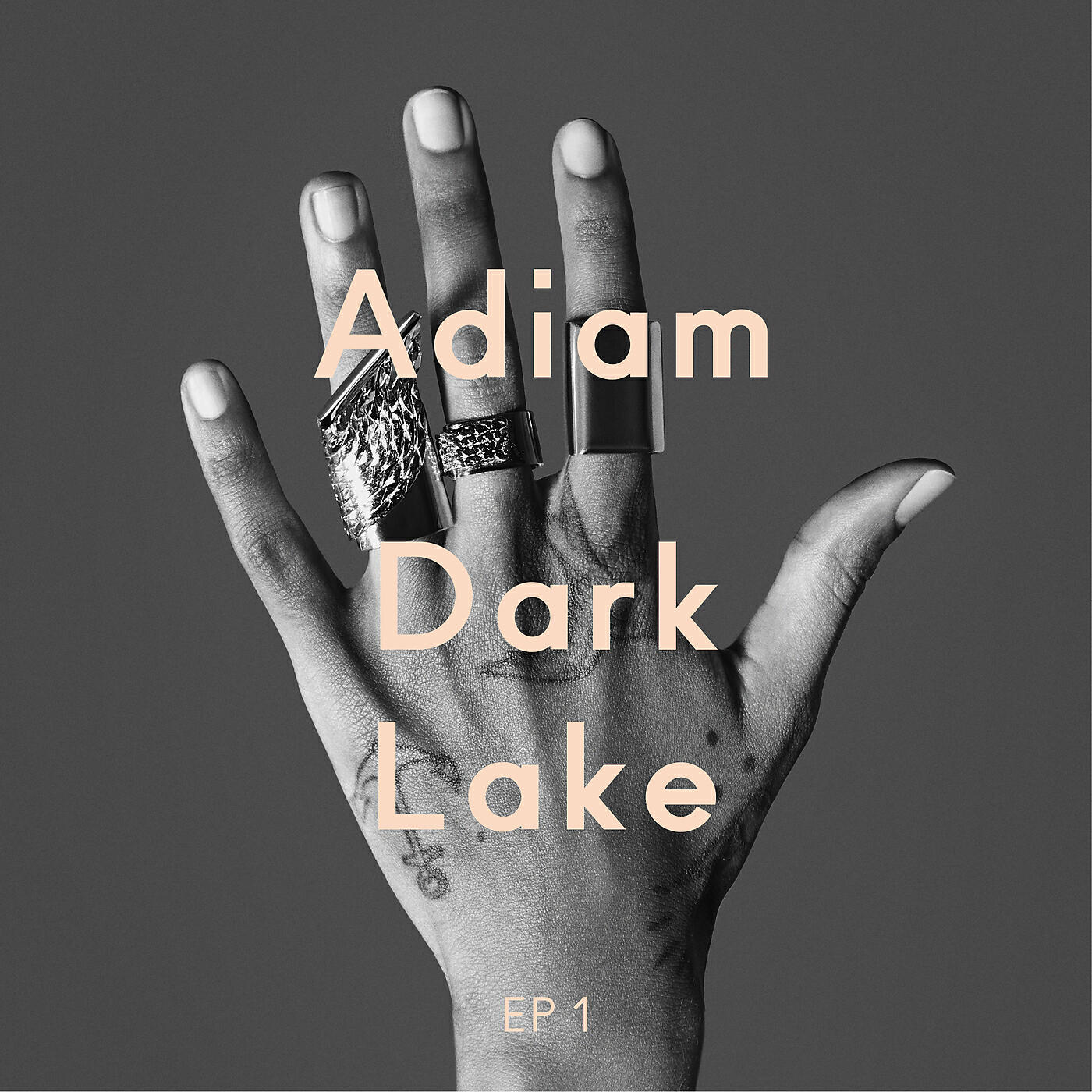 Adiam - Dark Lake (Tyler Pope Remix / LCD Soundsystem)