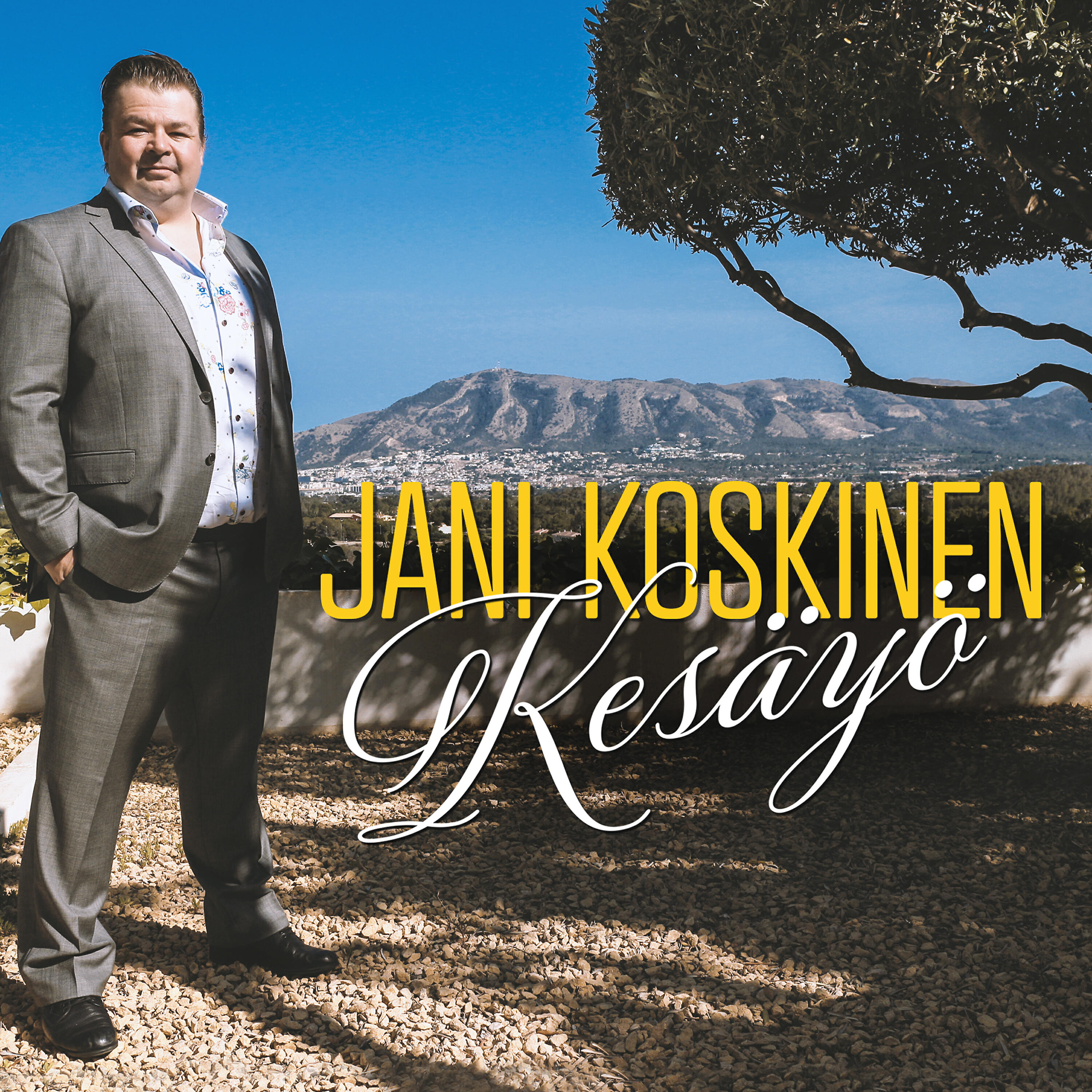 Jani Koskinen - Kesä yö