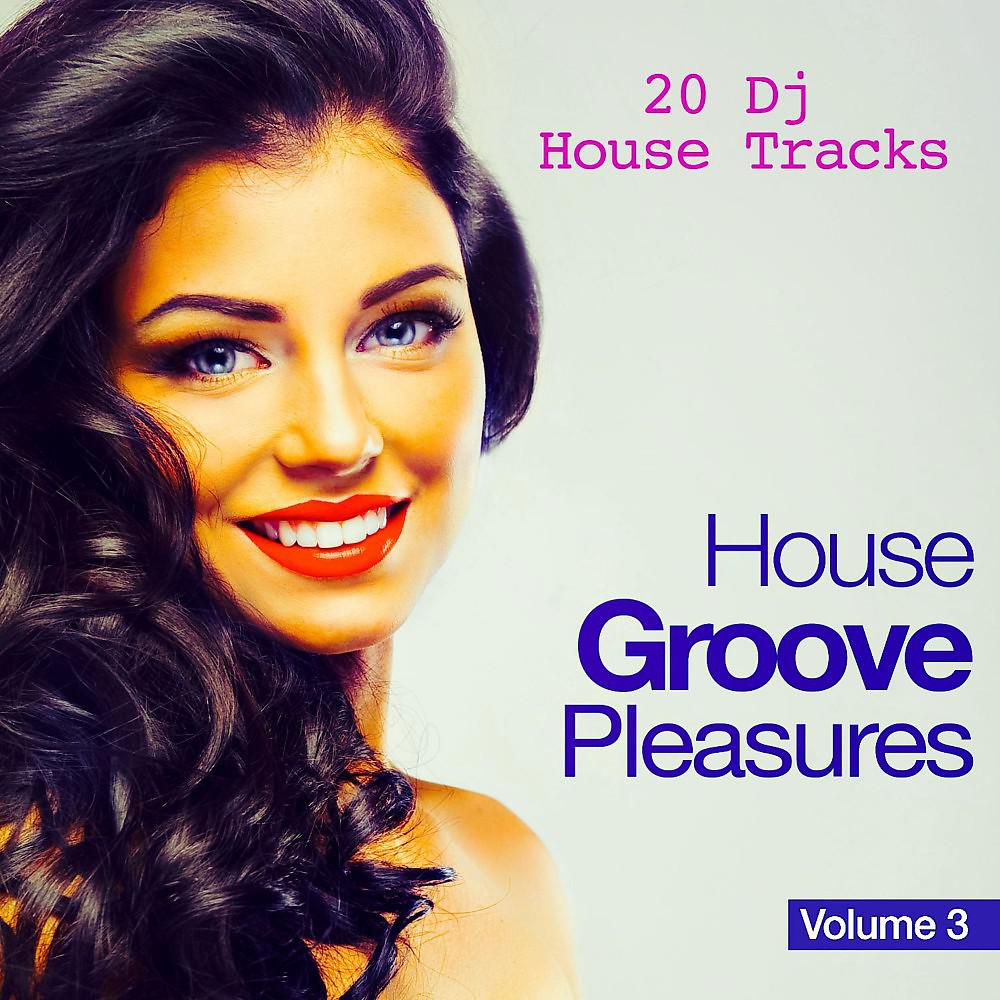 Постер альбома House Groove Pleasures, Vol. 3 (20 DJ House Tracks)