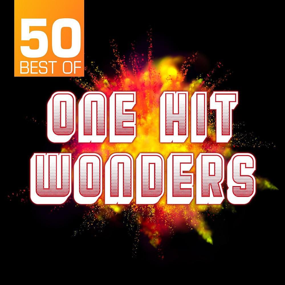 Постер альбома 50 Best of One Hit Wonders