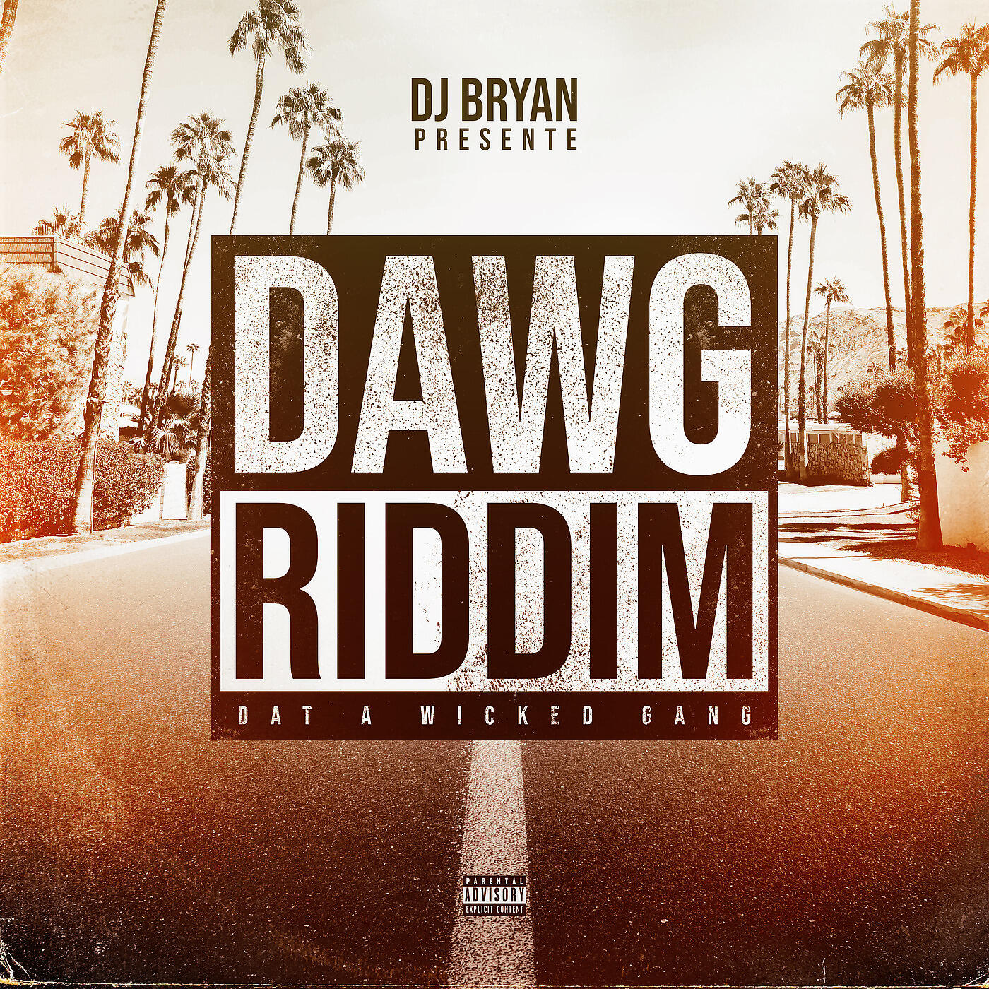 DJ BRYAN - Dawg Story