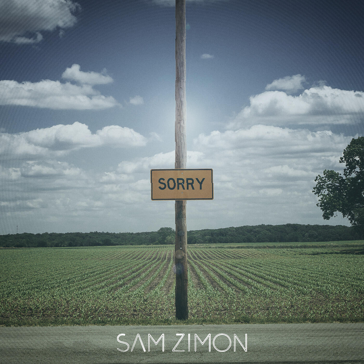 Sam Zimon - Sorry