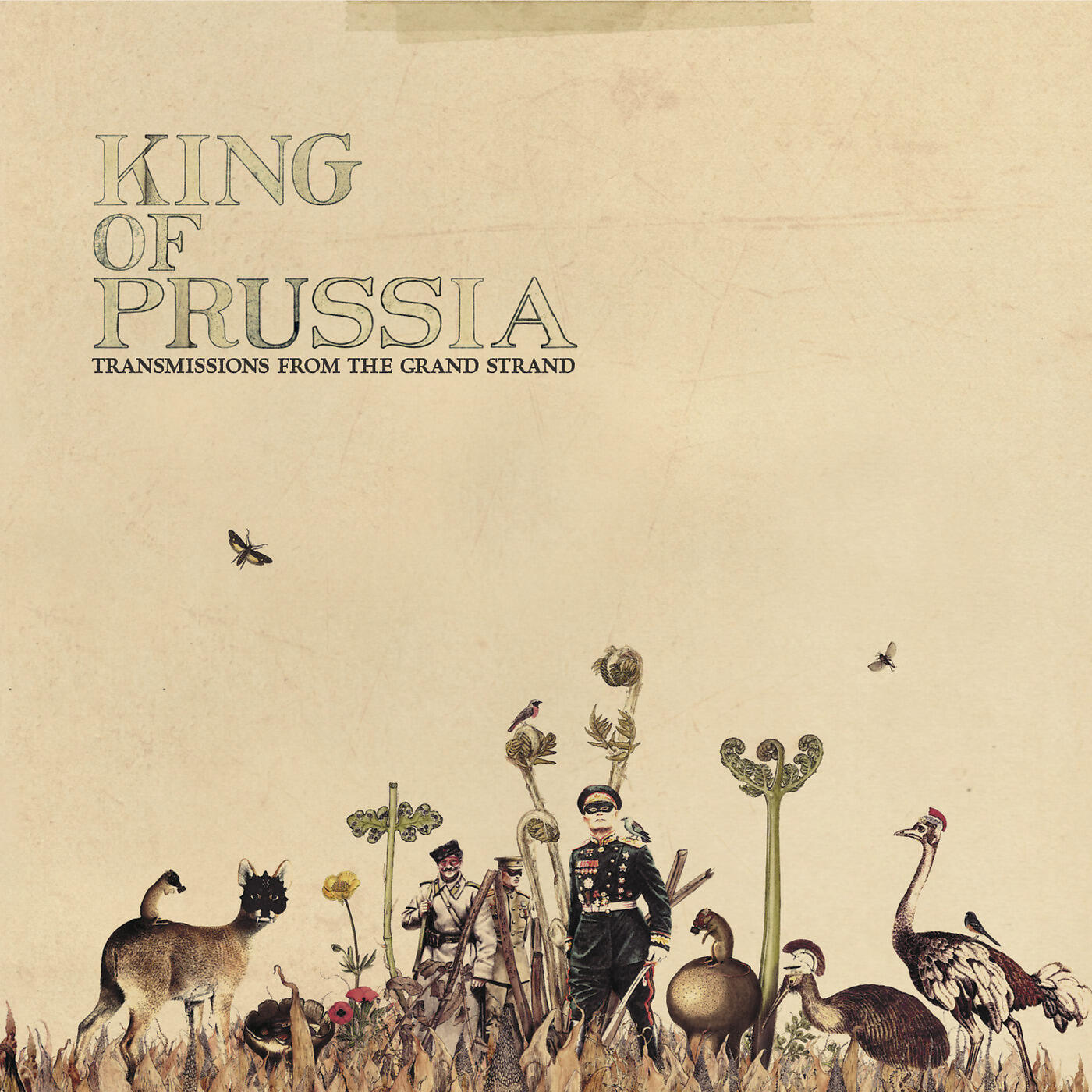 King of Prussia - Pedals on Delay