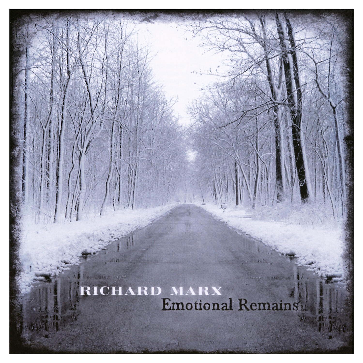 Richard Marx - Through My Veins