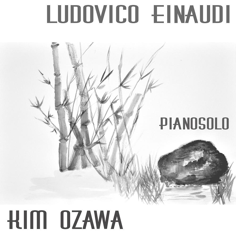 Постер альбома Ludovico Einaudi - Pianosolo