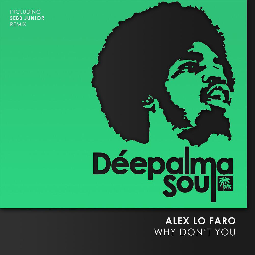 Alex Lo Faro - Why Don't You (Sebb Junior Remix)